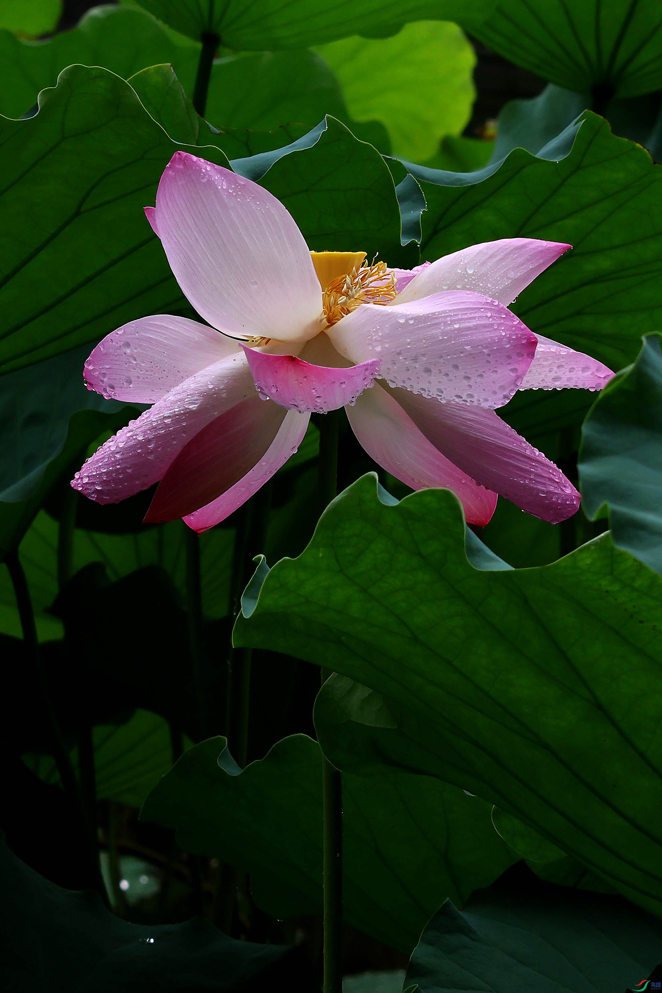 2G9A8348.JPG
