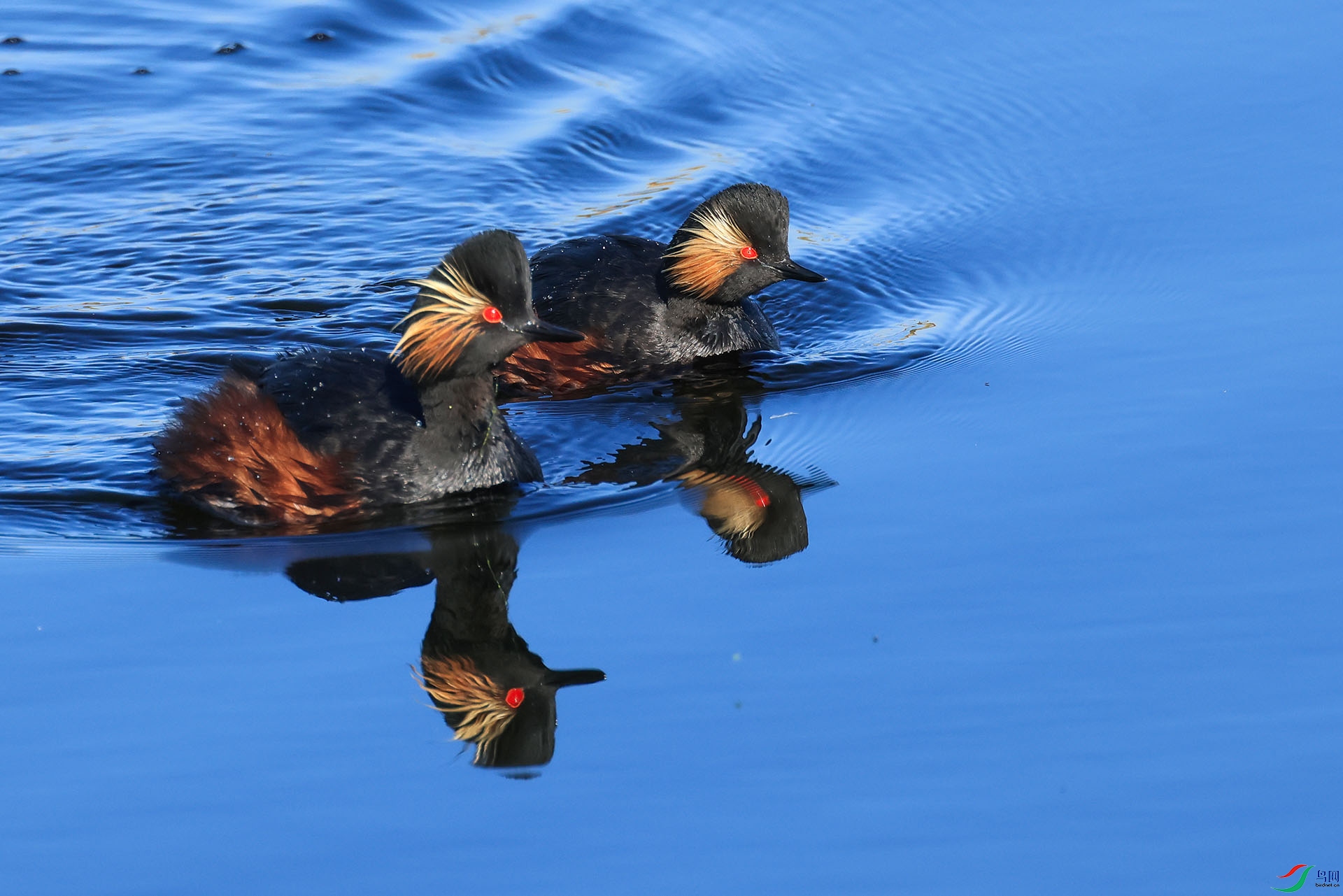 �ھ�--E8A7467---333.jpg