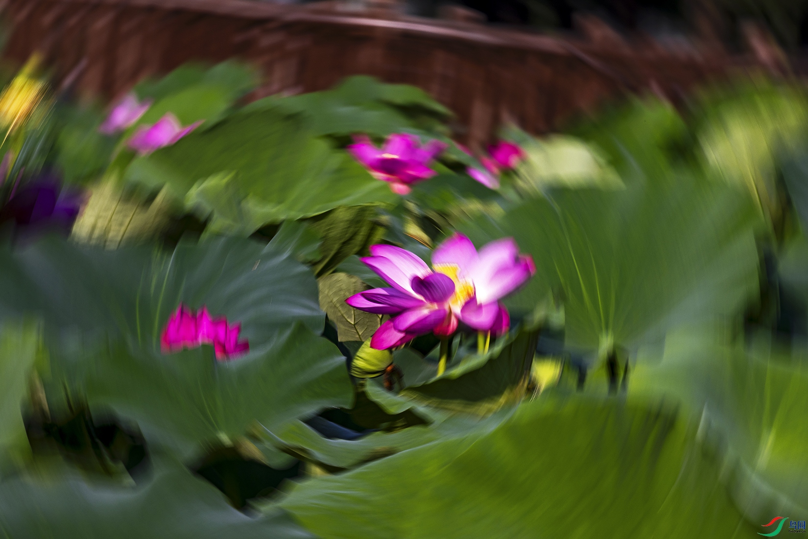 _5LM1036a.jpg