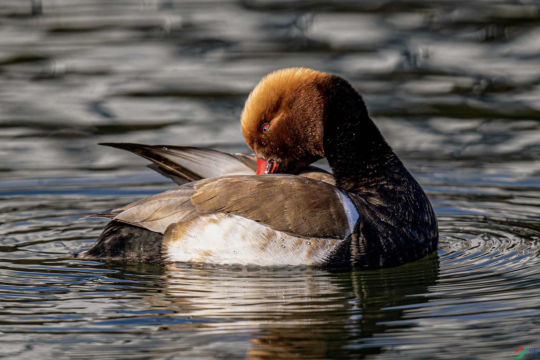 _90I2700 ���� 2.jpg