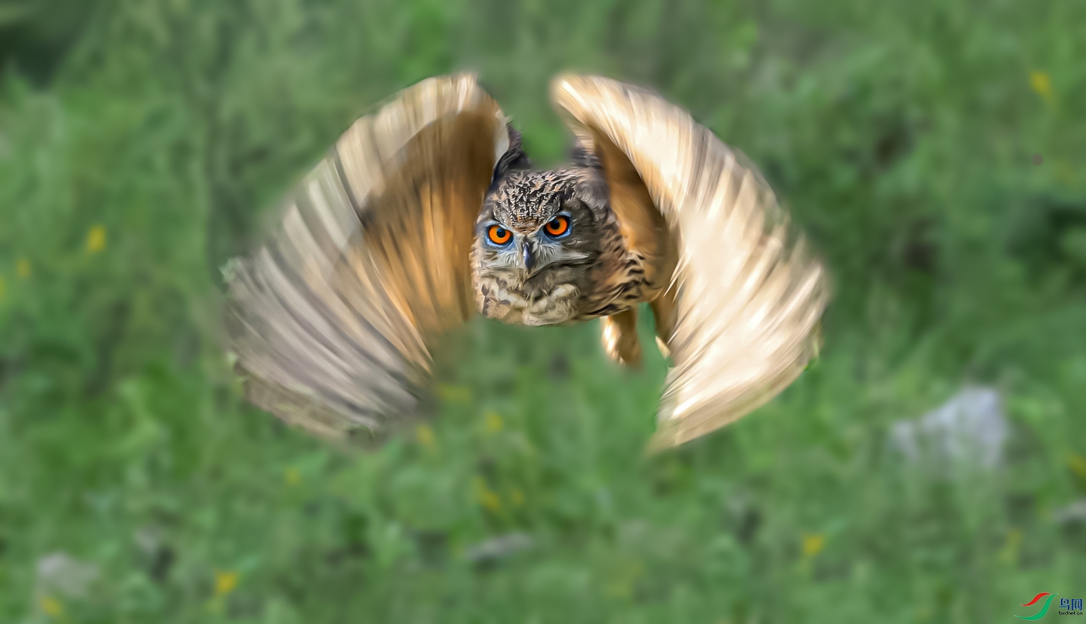 009_����_����.jpg