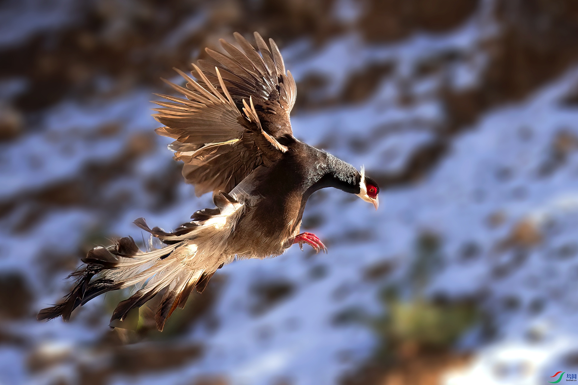 _07A0925 ����-Sh----1 .jpg