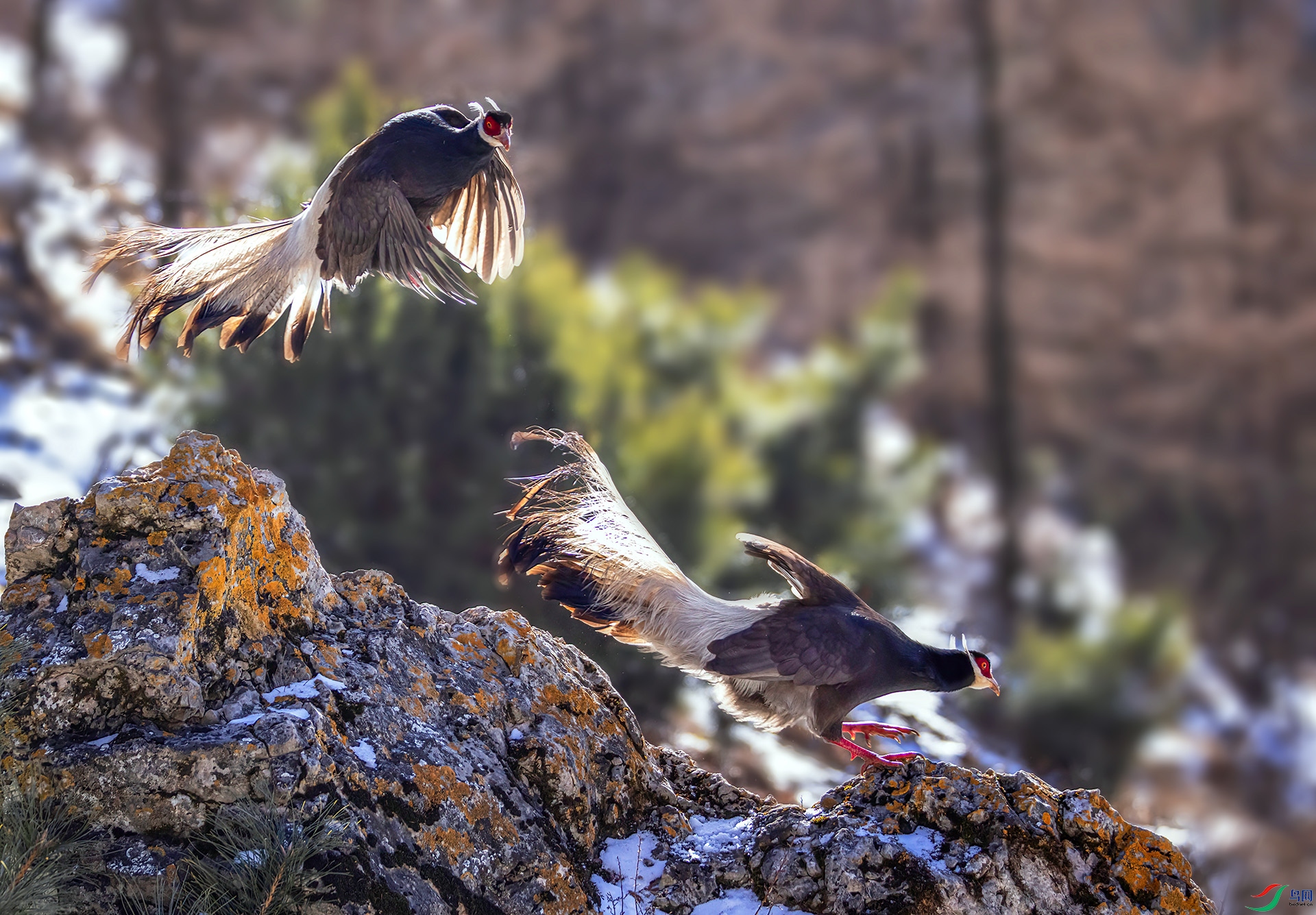 _07A2170 ����-Sh----1 .jpg