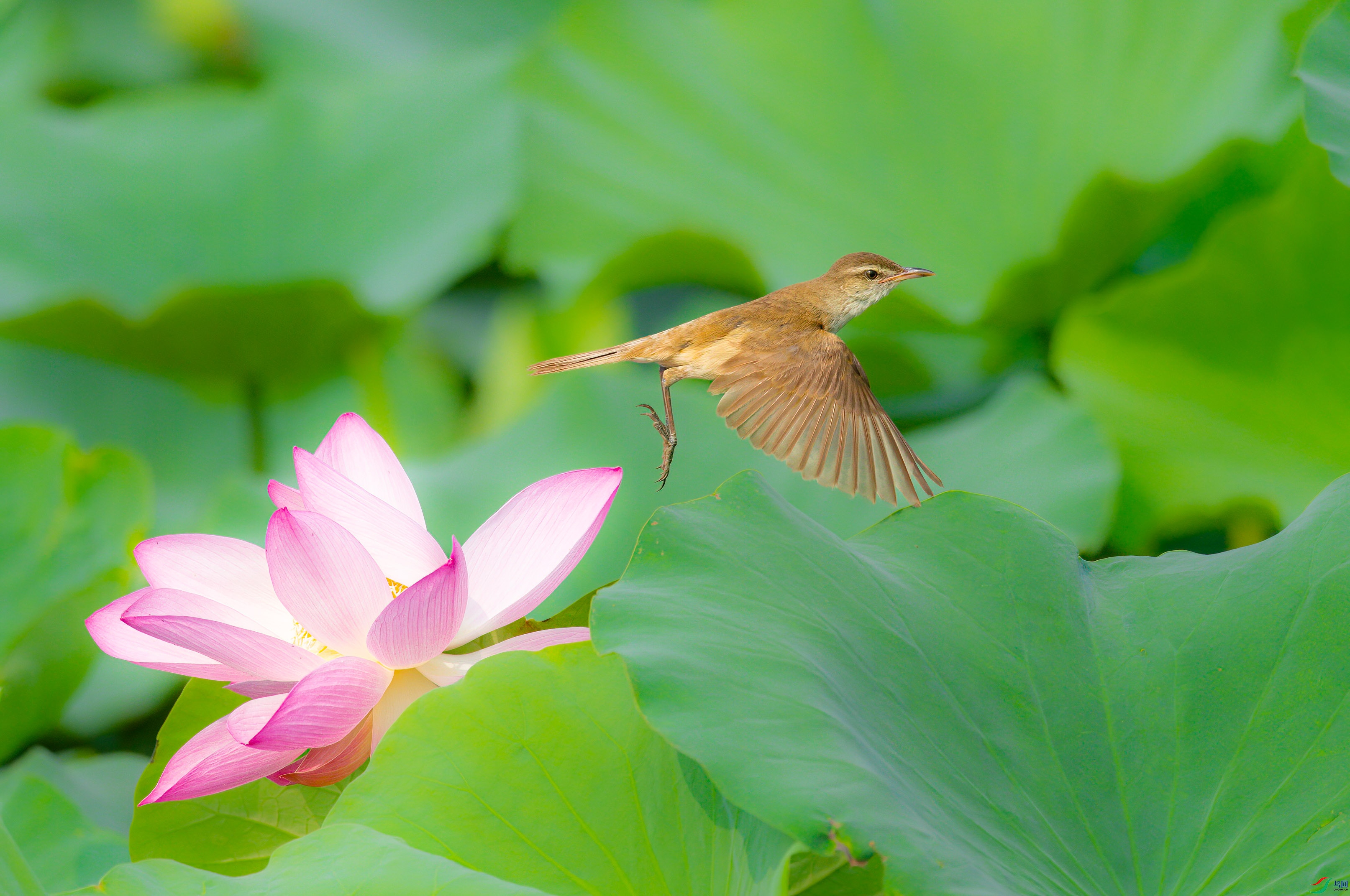 sen2016 7-10-31-�༭-3.jpg