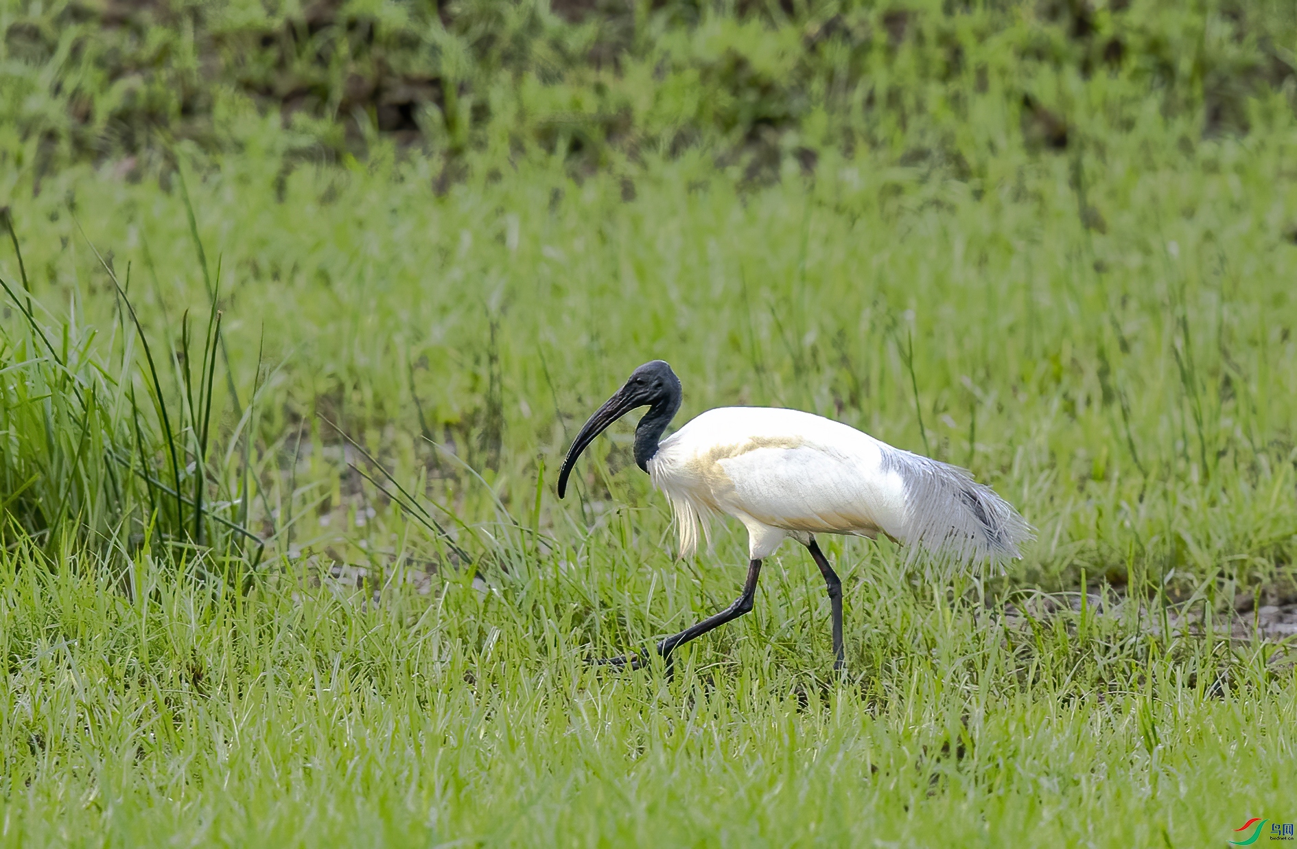 AC3I2752 ����.jpg