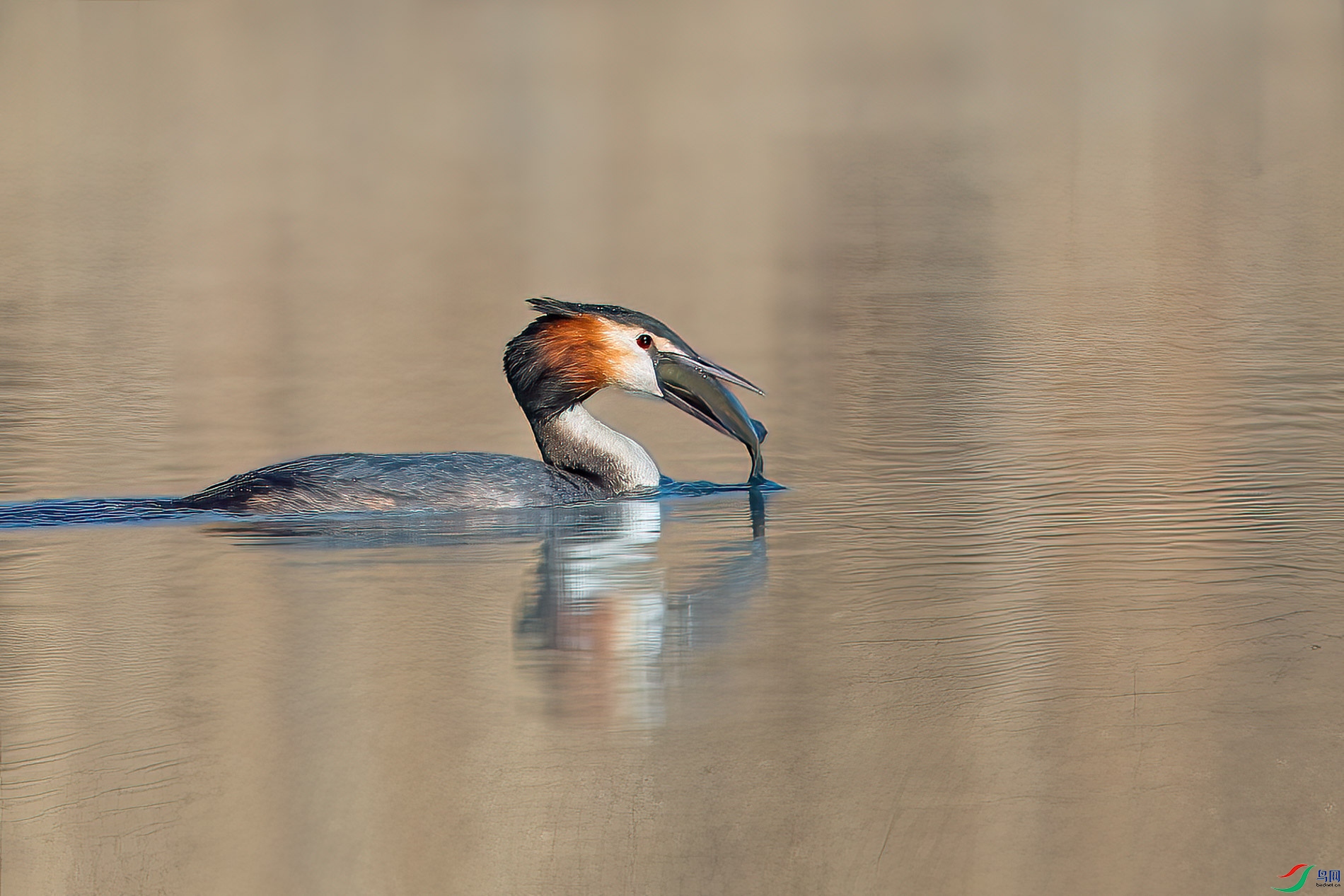 AQ4P7756-1.jpg