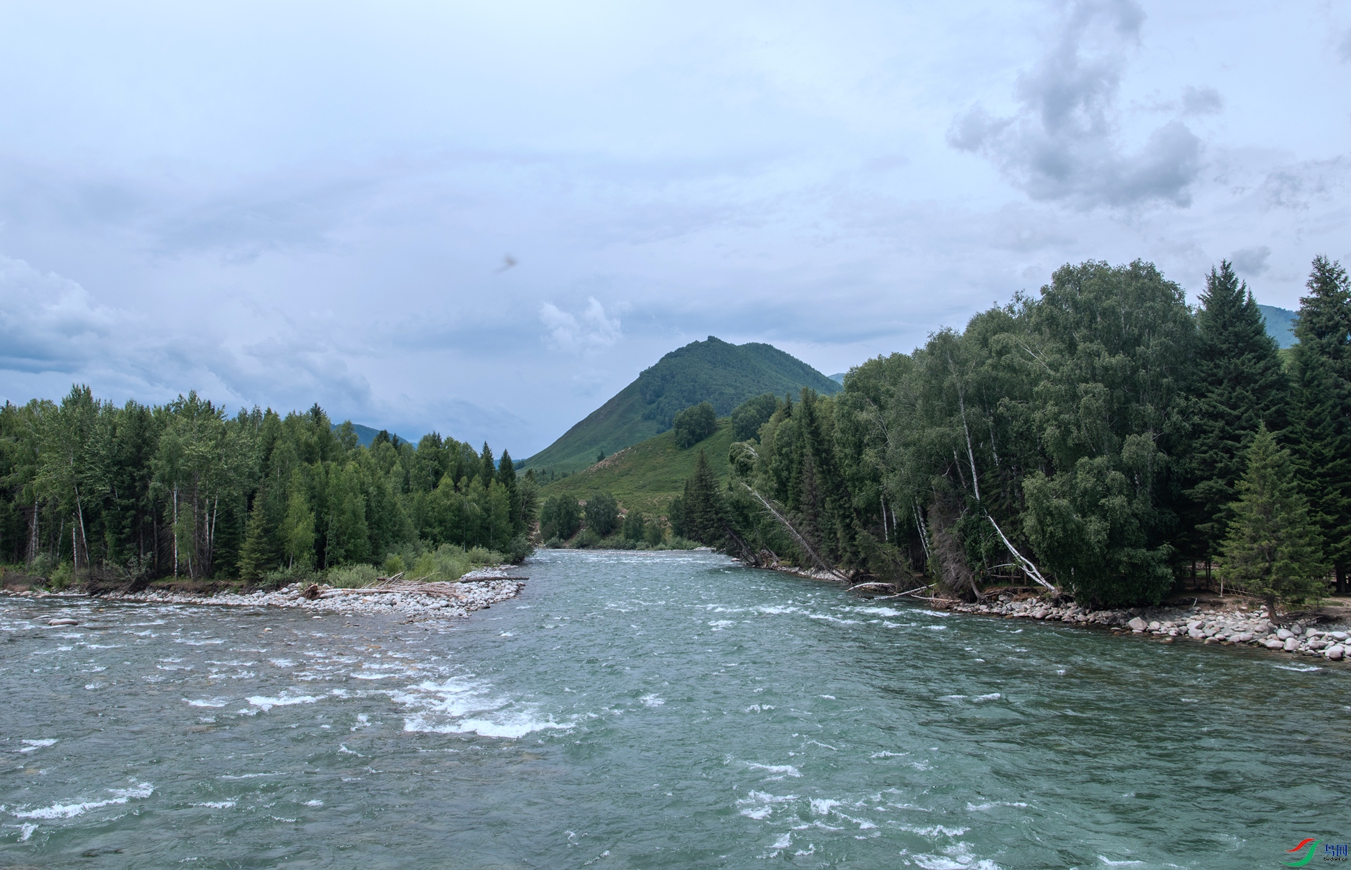 DSC_7274.jpg