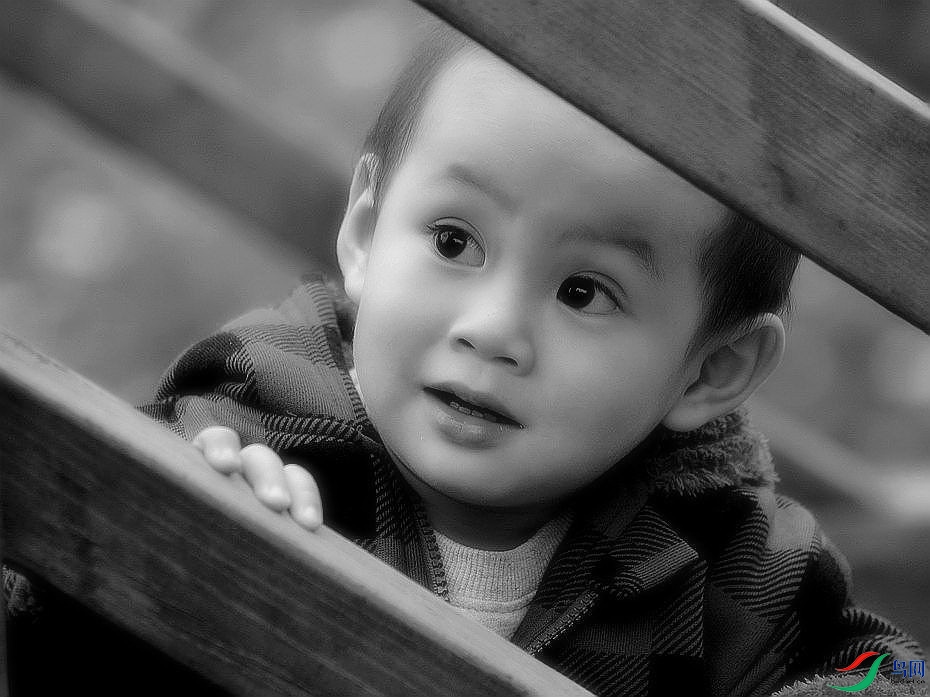 DSC_7331.JPG