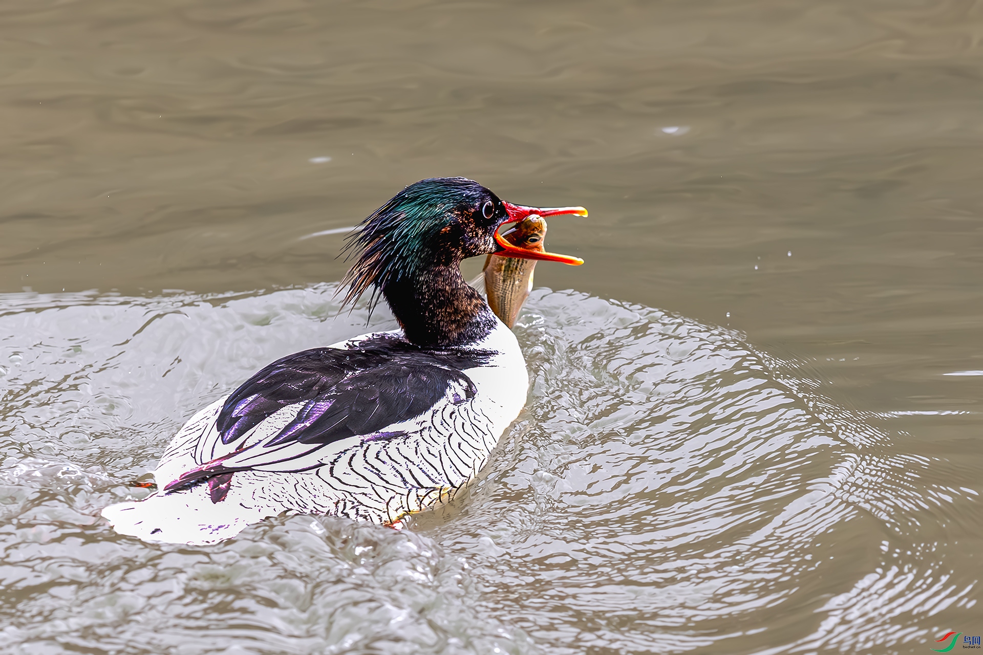 20250729��� .jpg