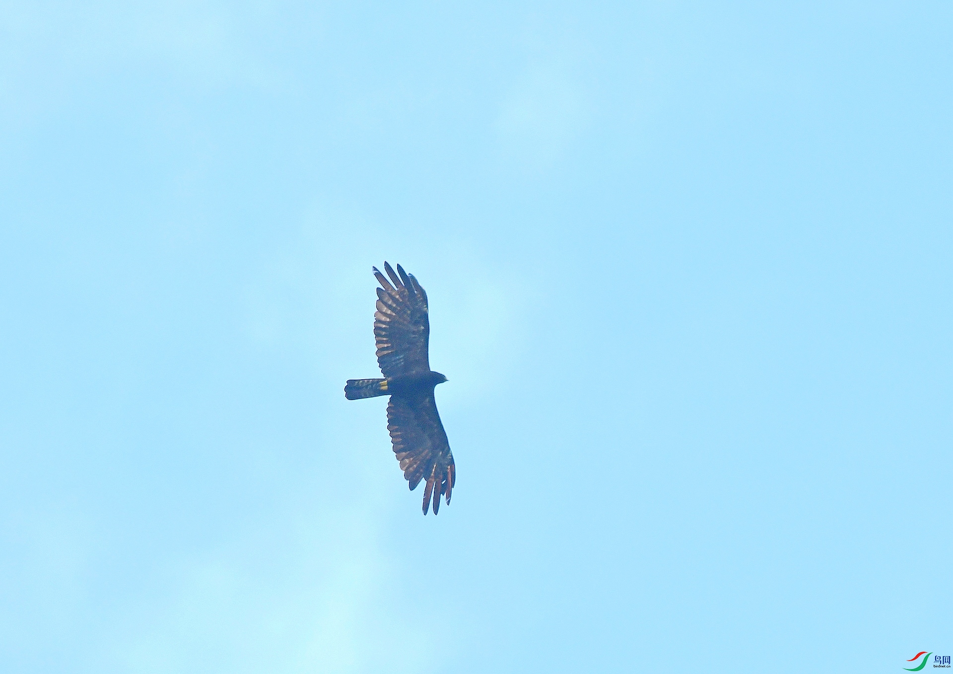 DSC_2289.jpg
