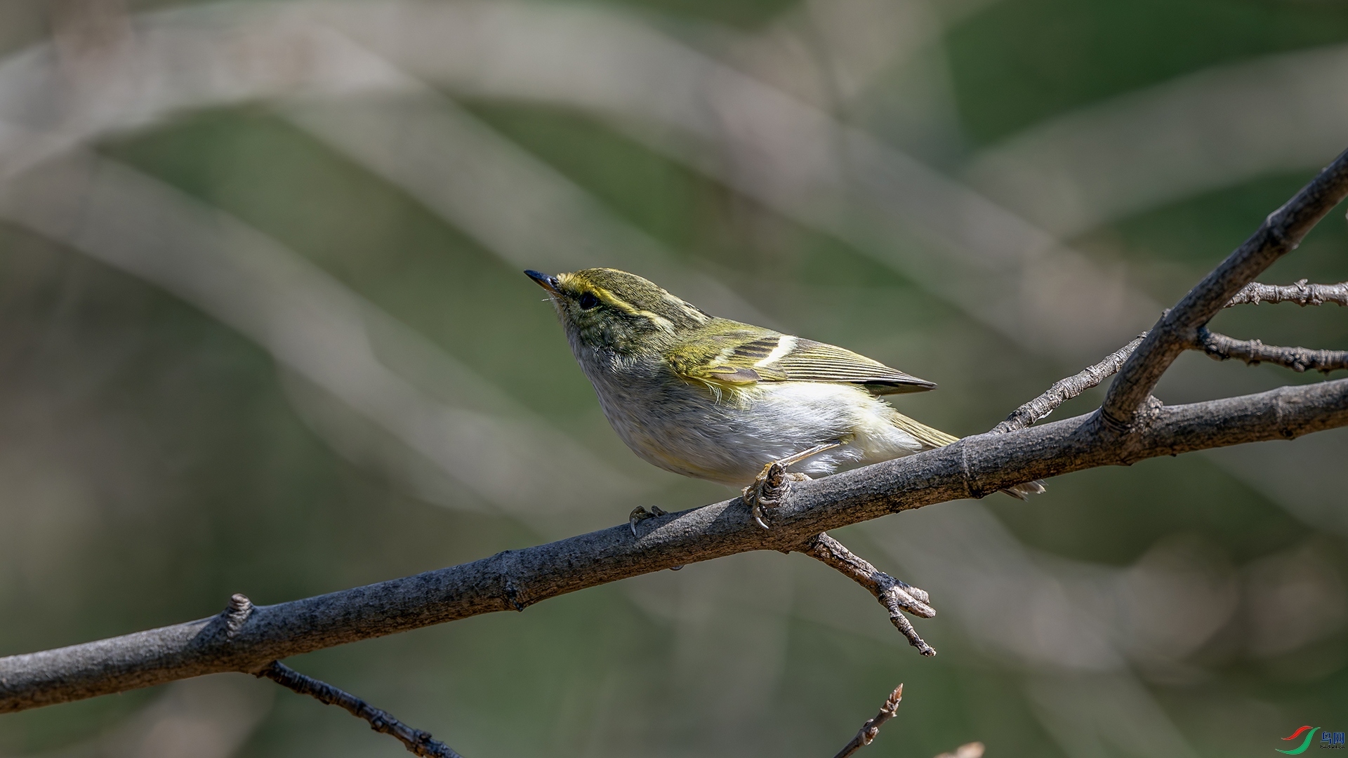 DSC_6161.jpg