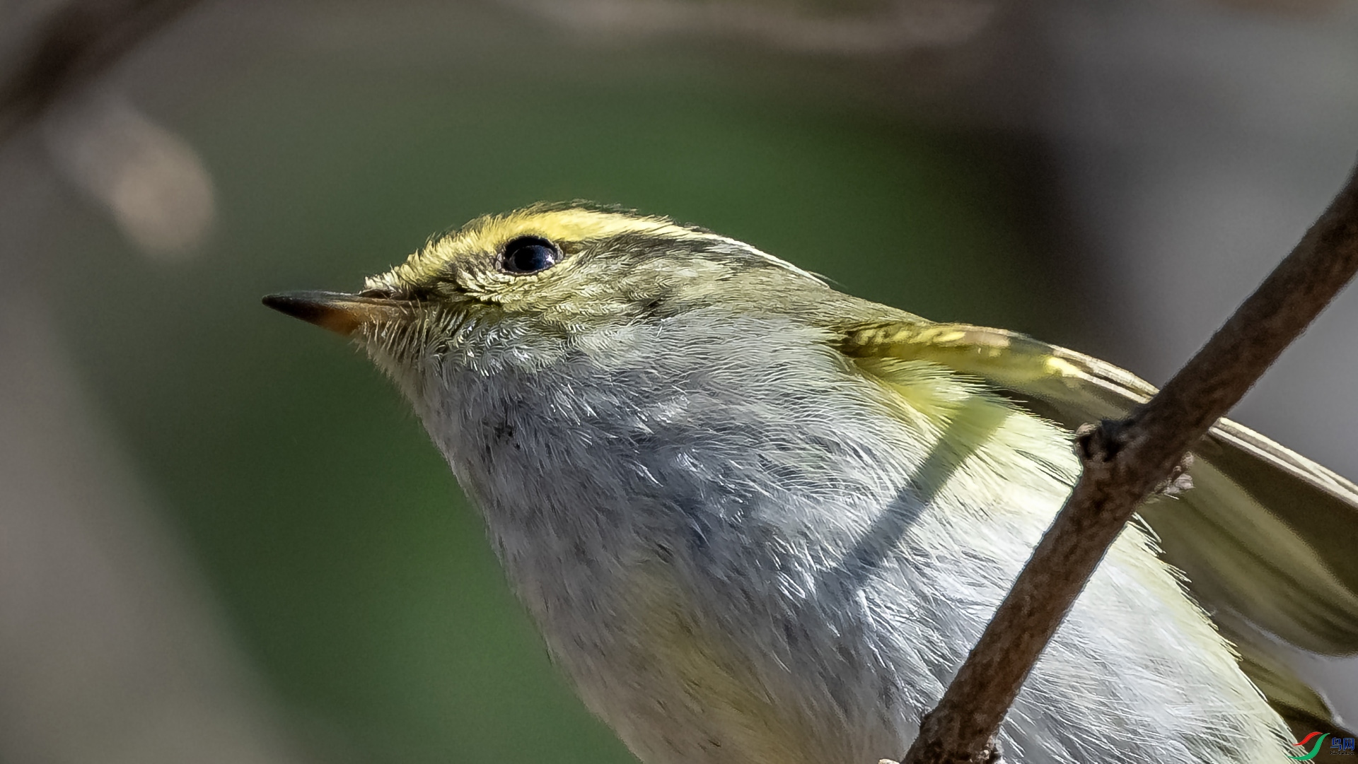 DSC_6223.jpg