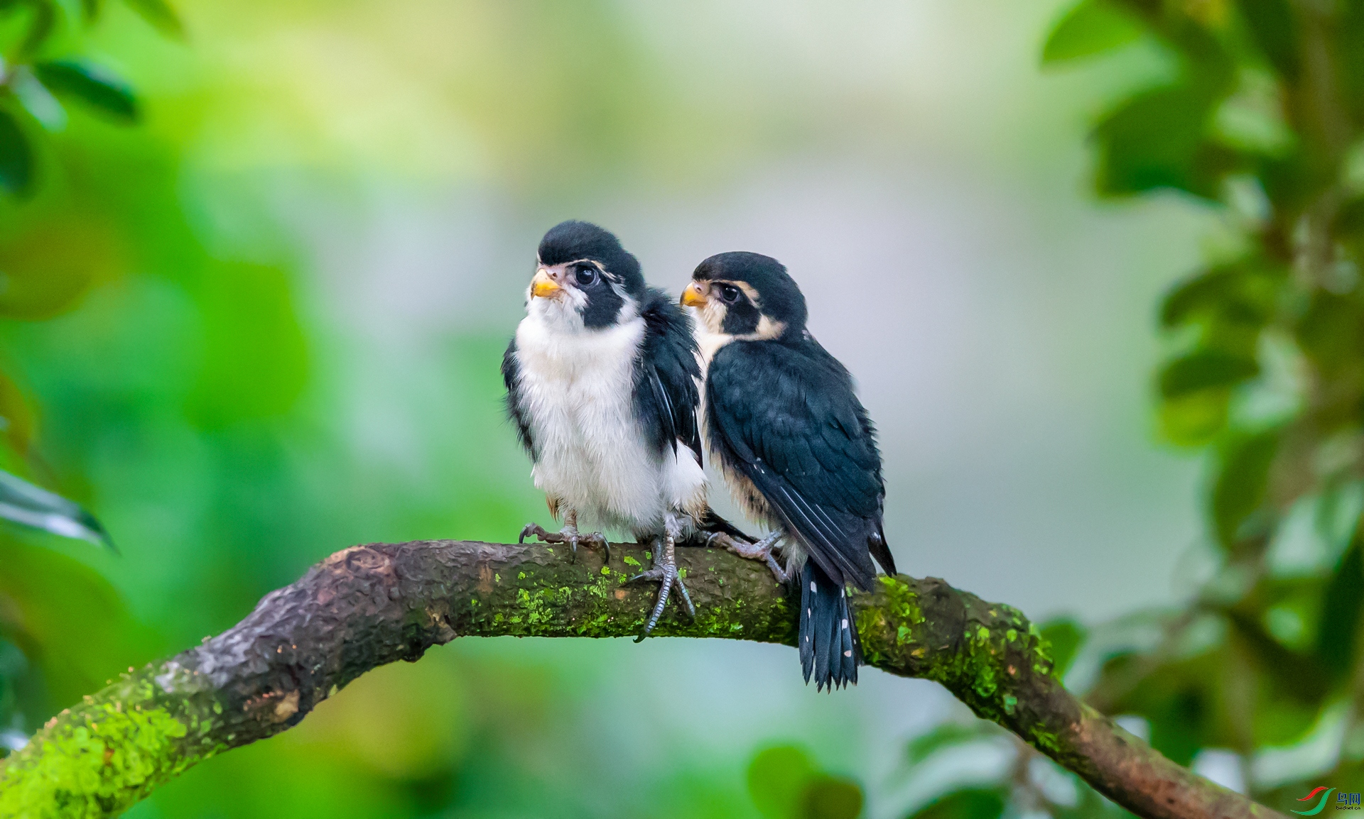 DSC_����С�� - ����.jpg