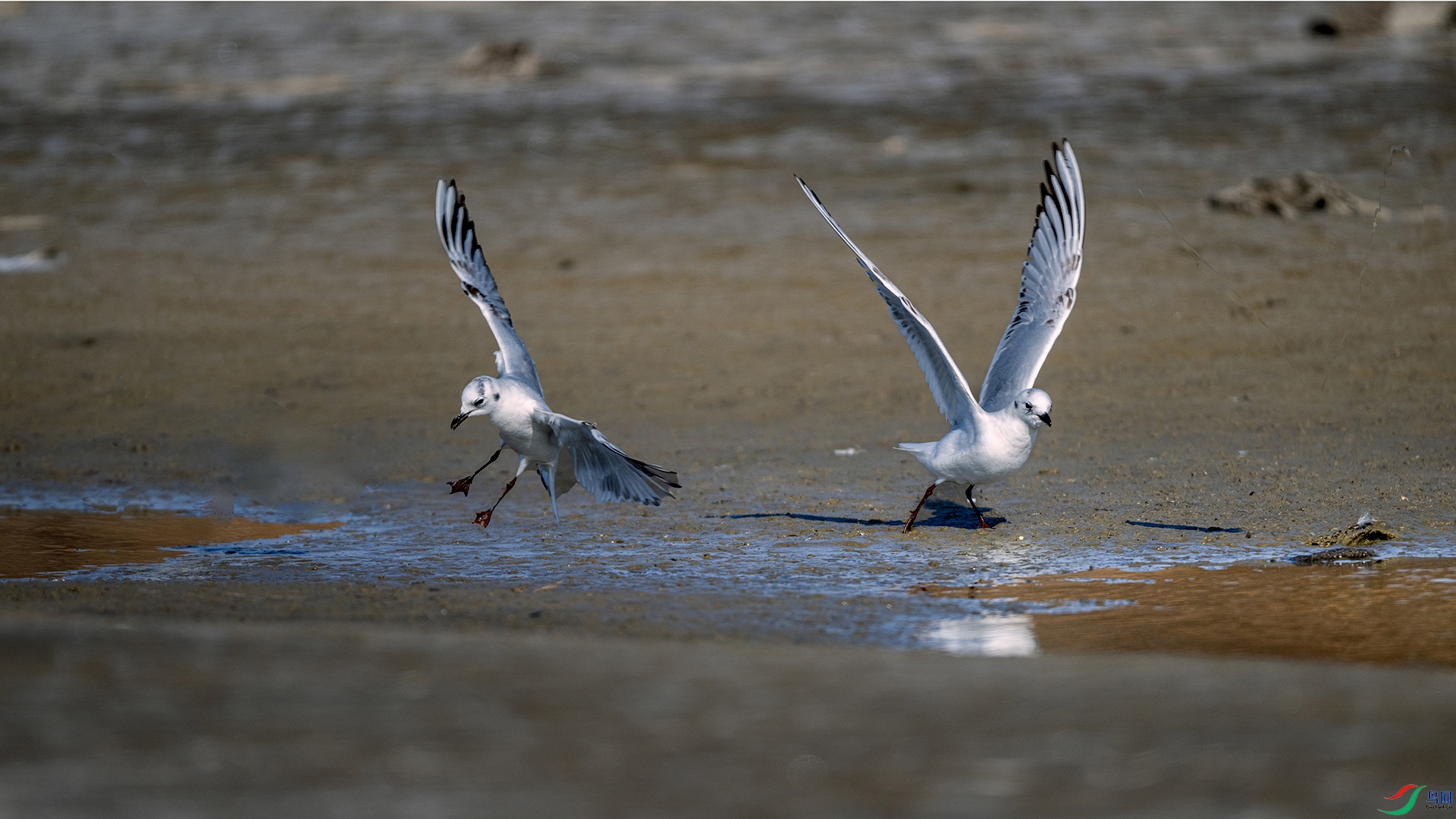 DSC_9635.jpg