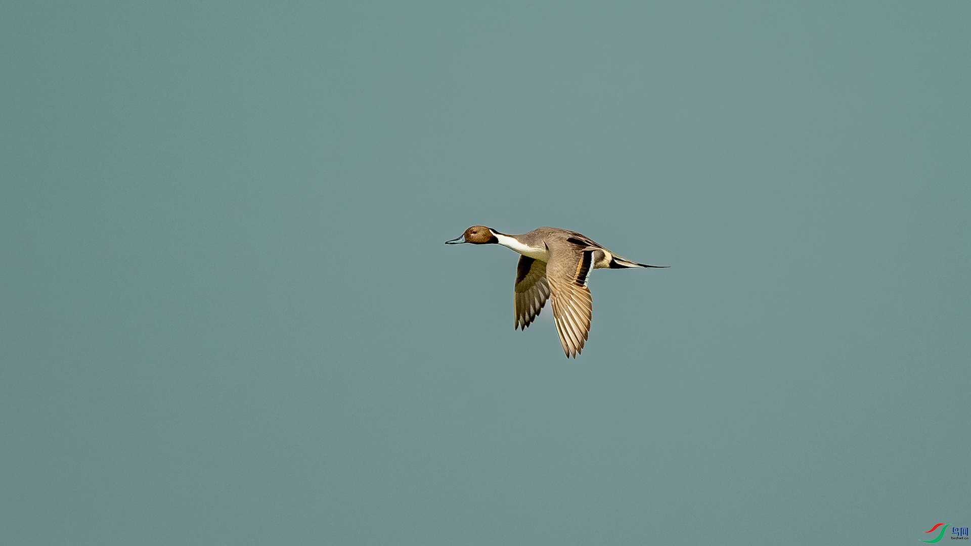 DSC_0713.jpg
