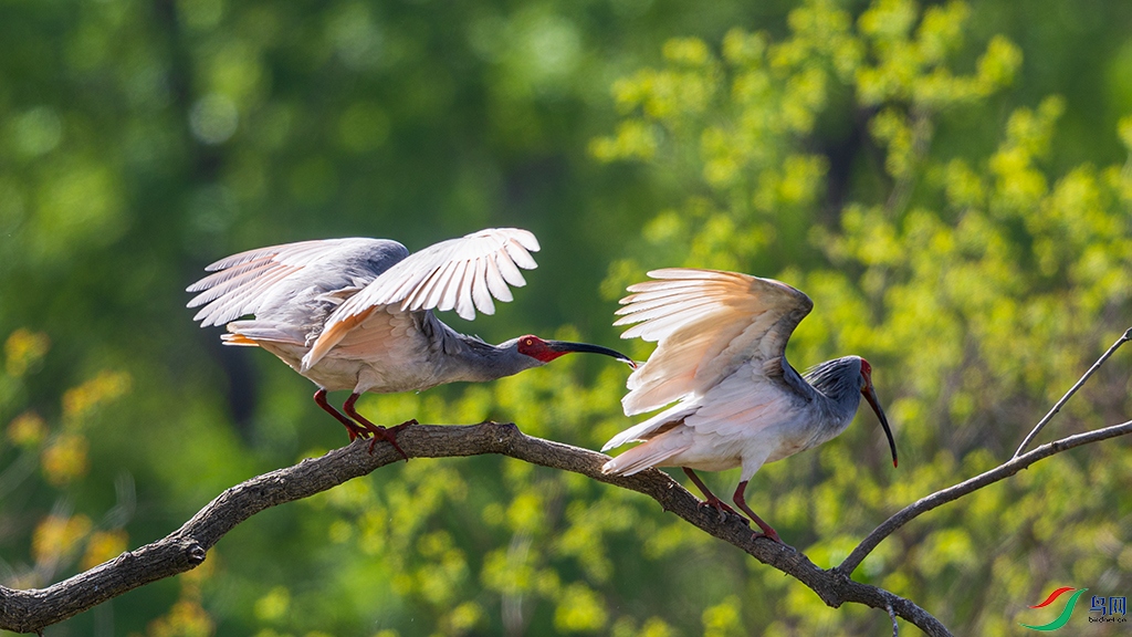 hnxydzR3250413 (5960).jpg