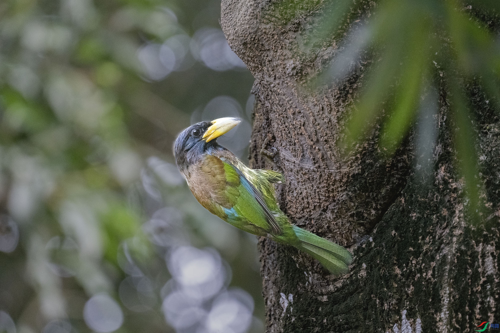 DSC_7254.jpg