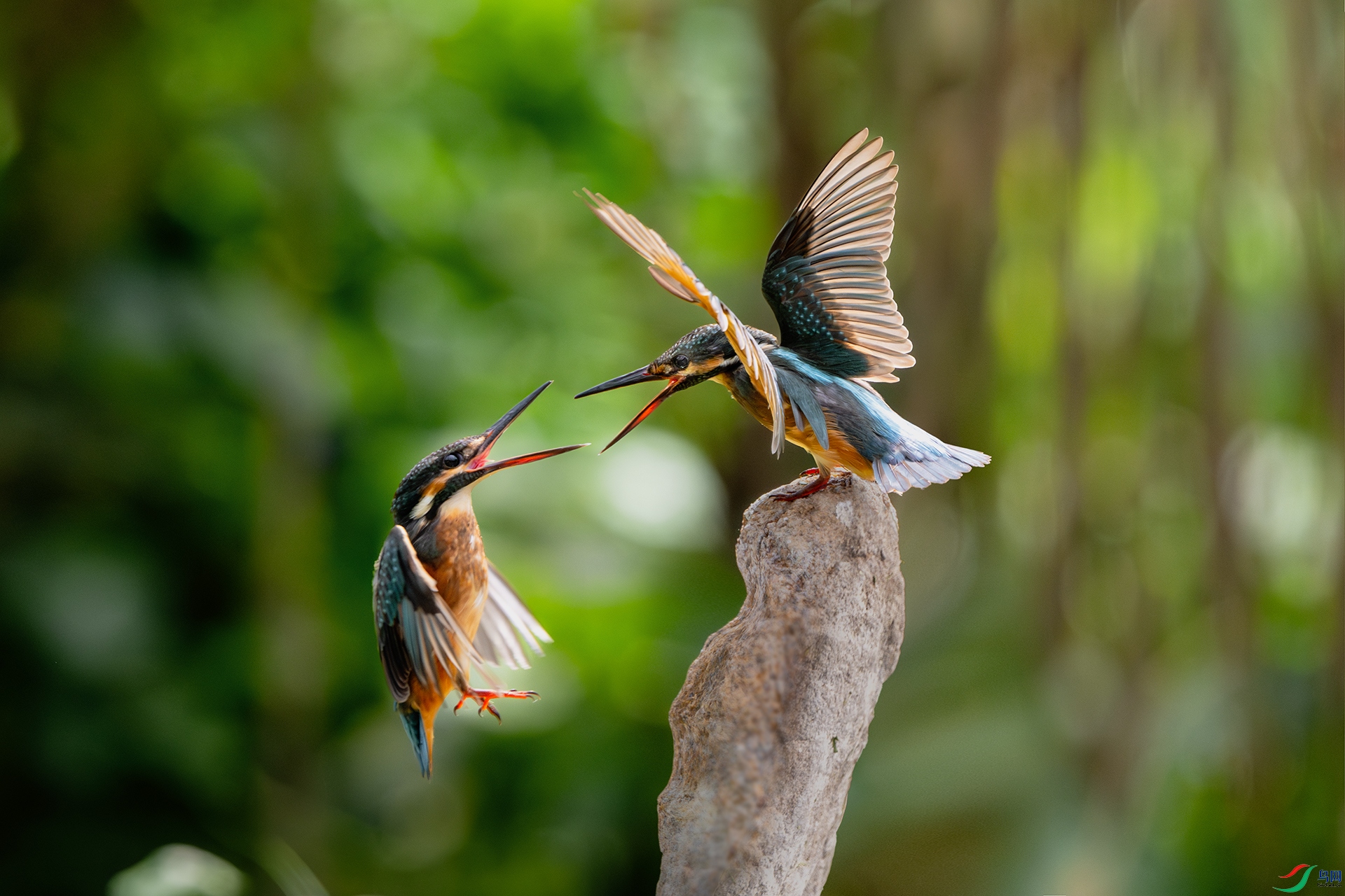 _DSC3756 ����С.jpg