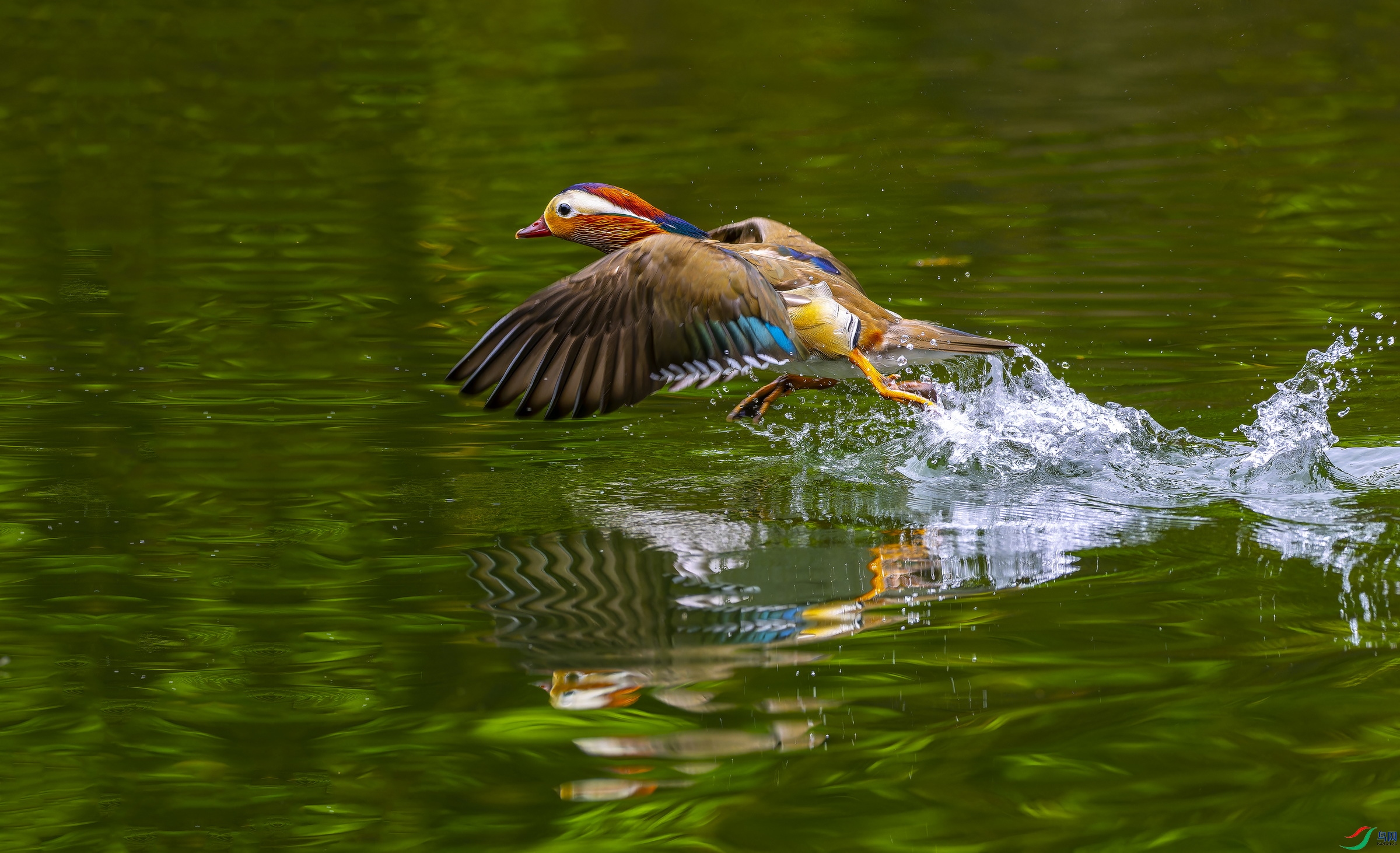 ԧ�� (1048)-01.jpg