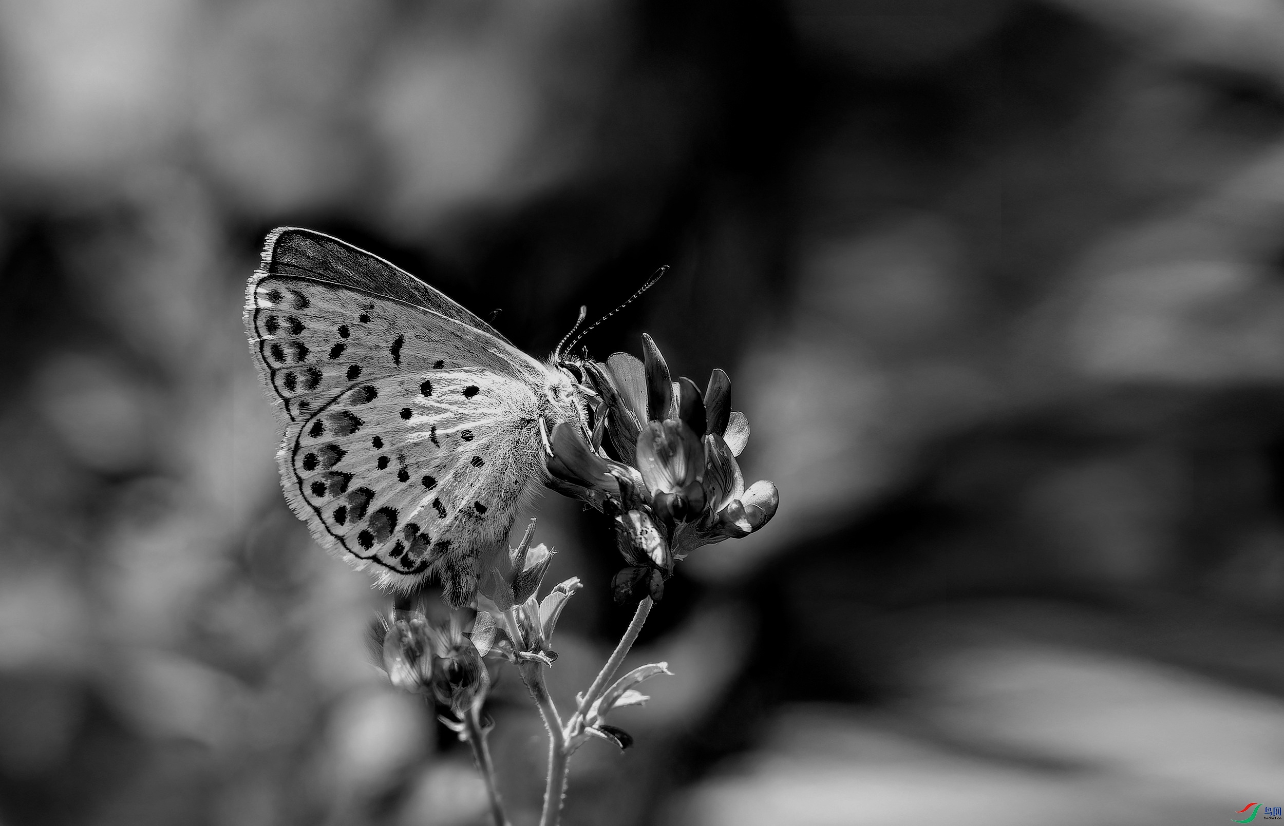 ���鶹�ҵ�2  (1)-02.jpg