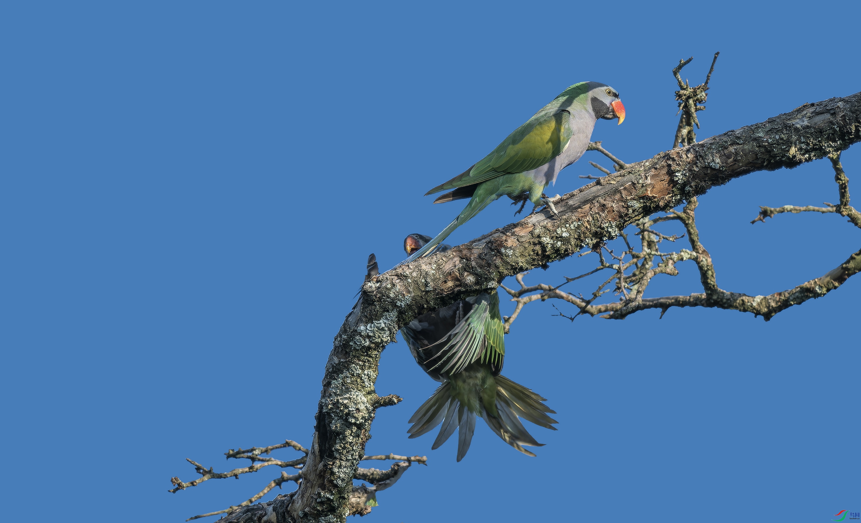 ���������� (8)-1.jpg