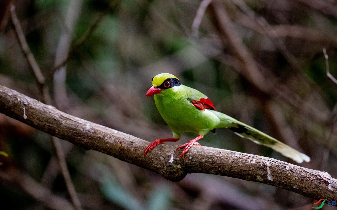 DSC_7834.jpg