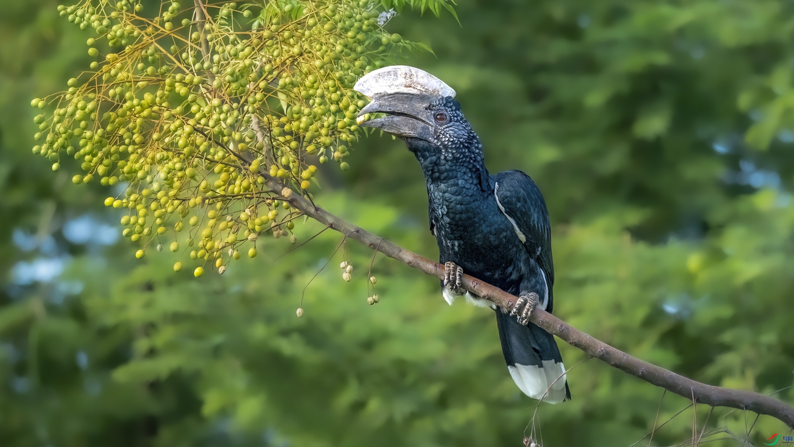 DSC_0889 ����_1.JPG