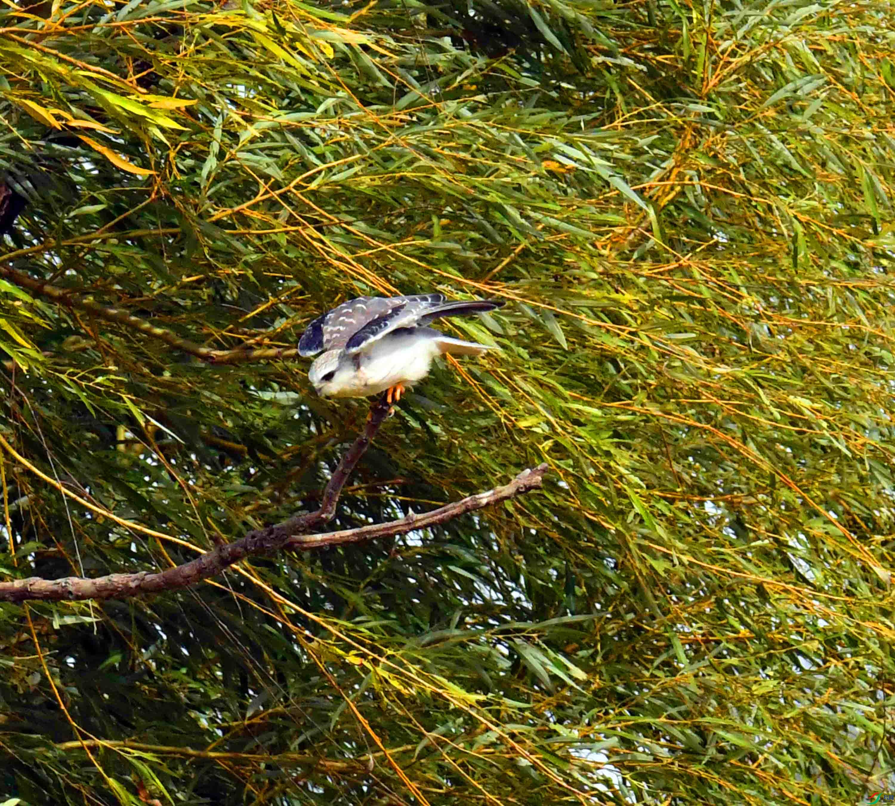 DSC_1206.JPG