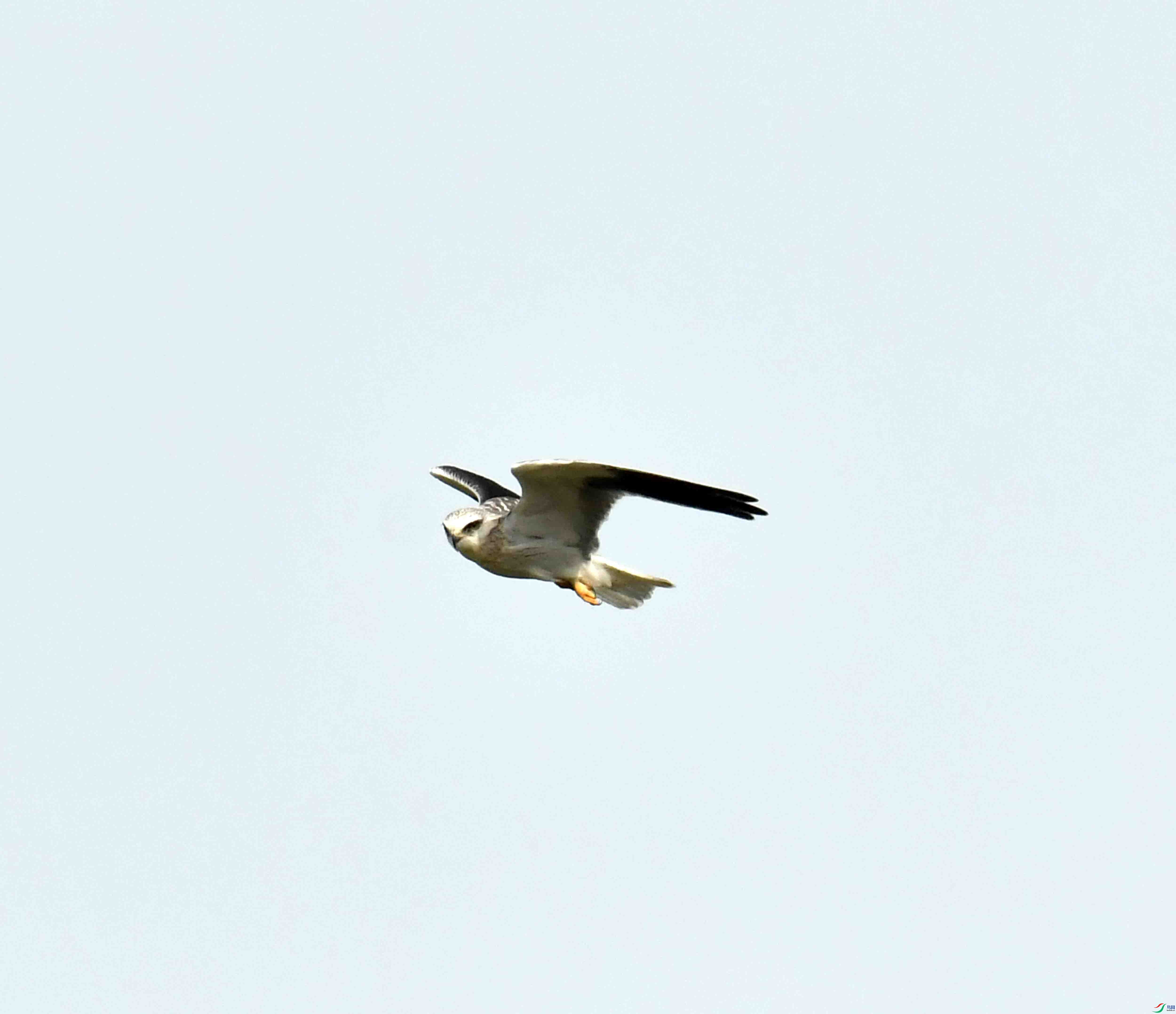 DSC_1235.JPG
