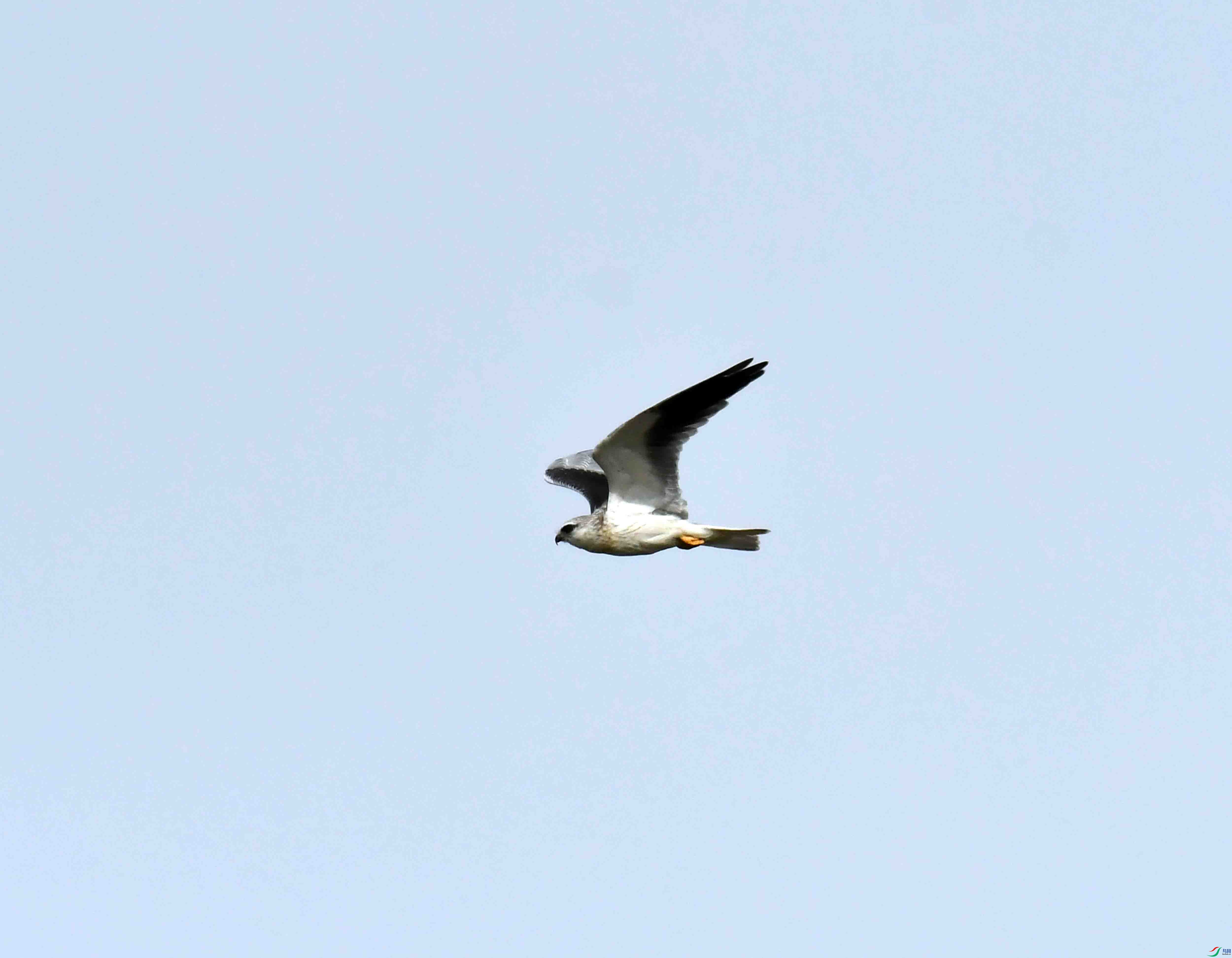 DSC_1238.JPG