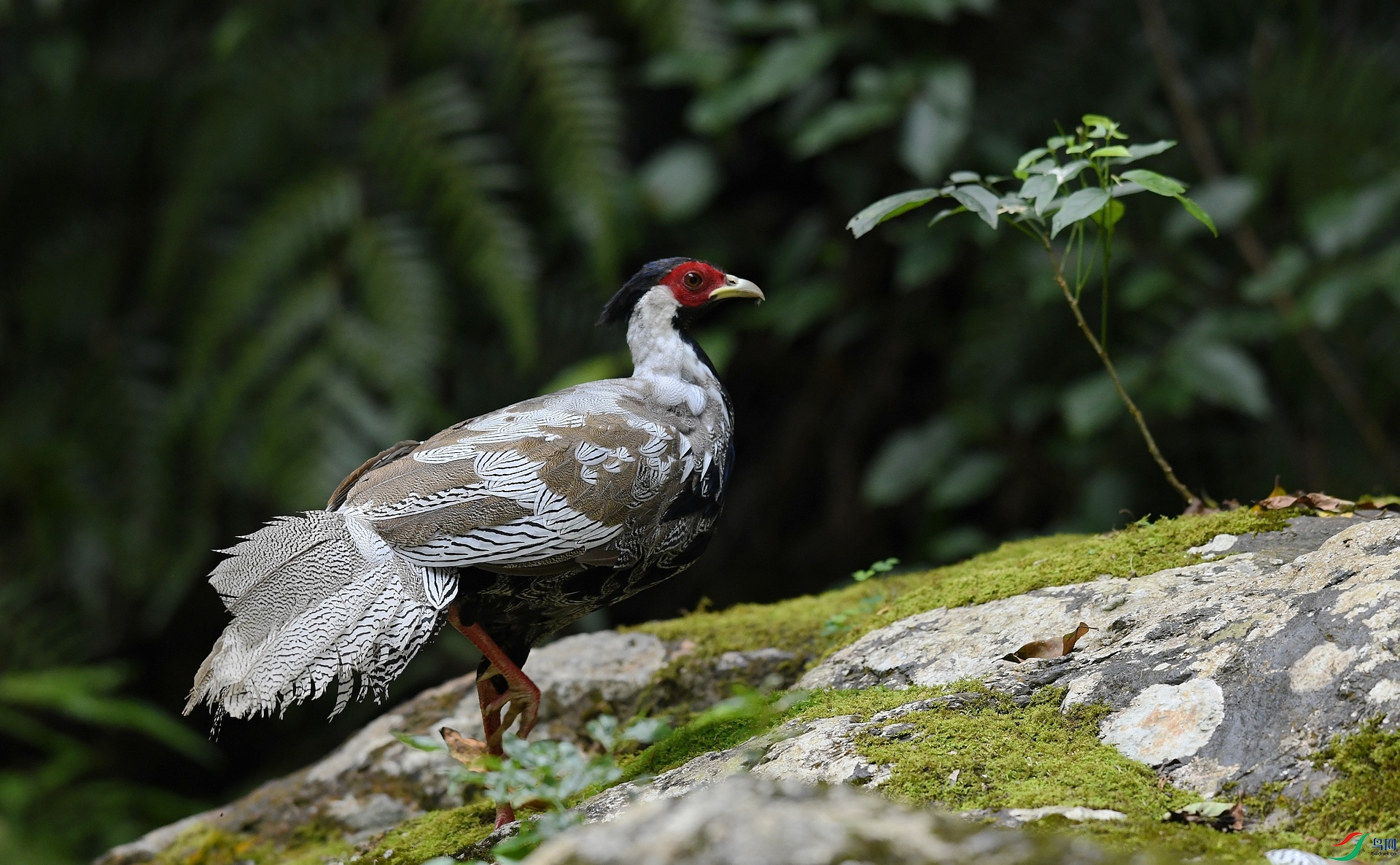DSC_8637.jpg