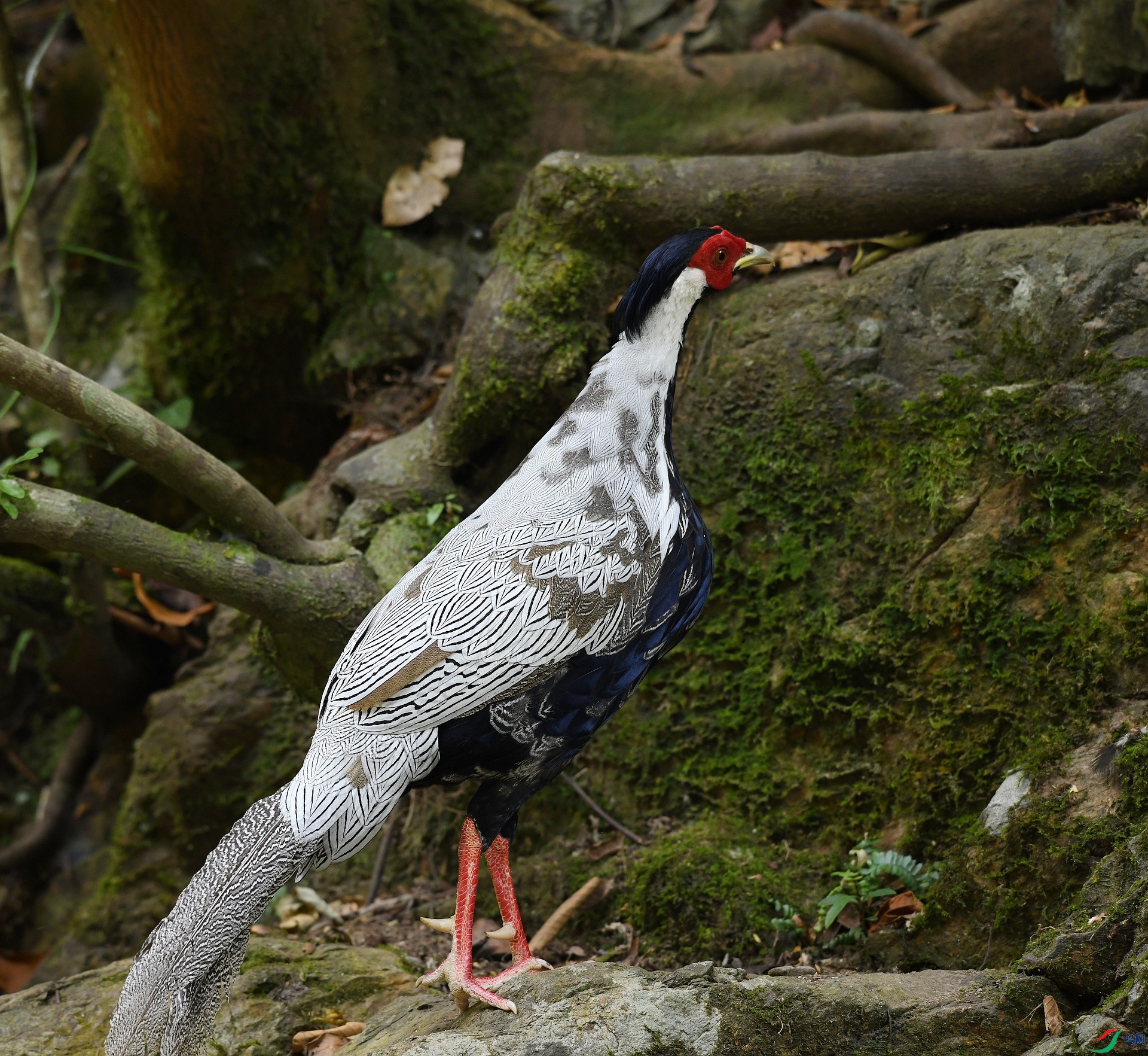 DSC_9092.jpg