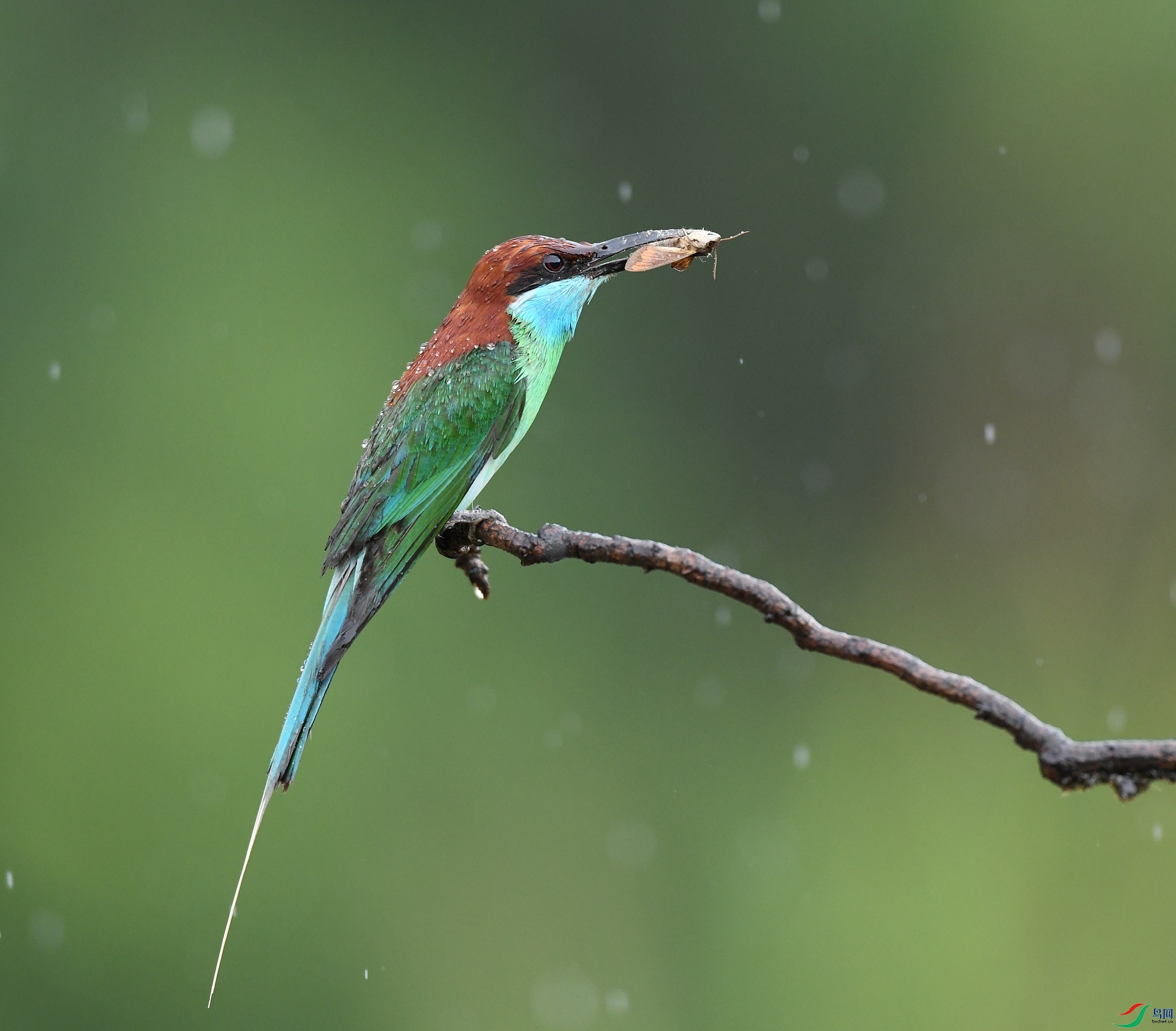 DSC_9098.jpg