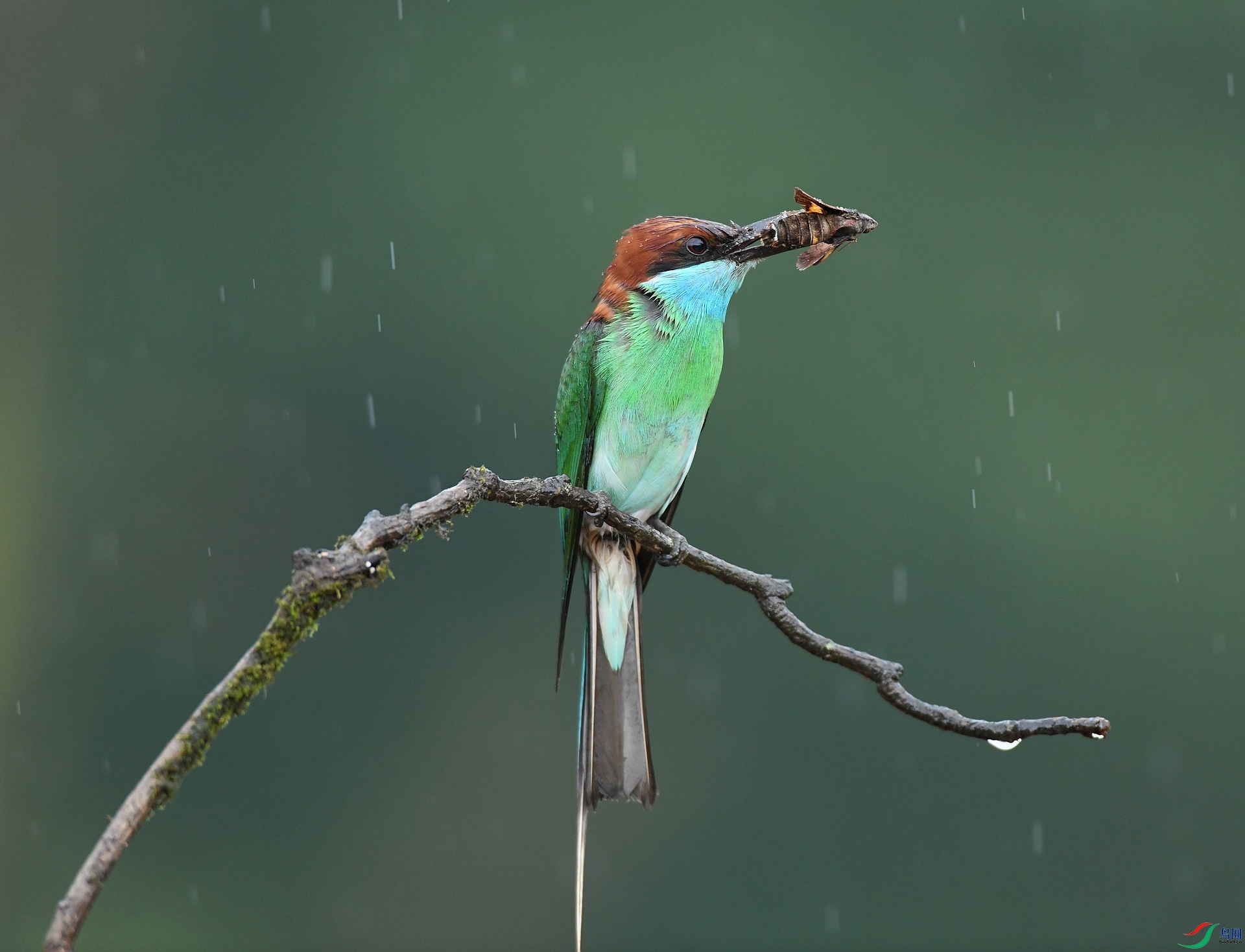 DSC_9109.jpg