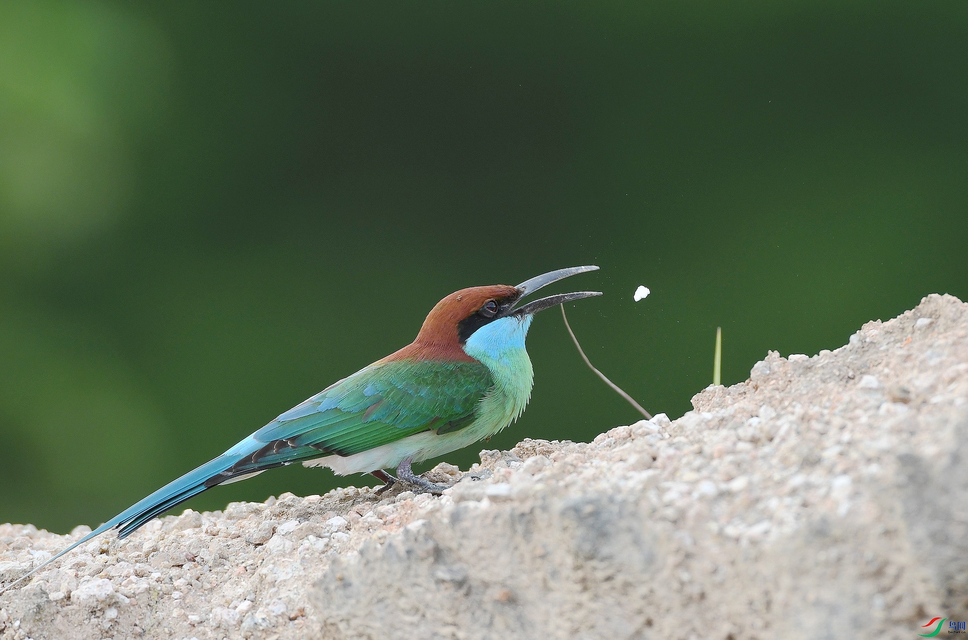DSC_9545.jpg