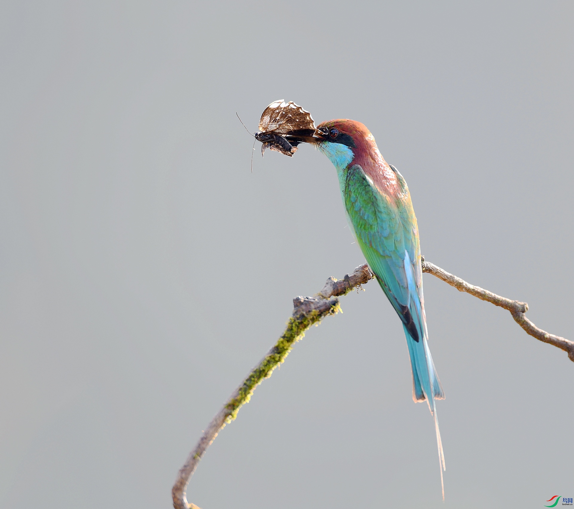 DSC_9538.jpg