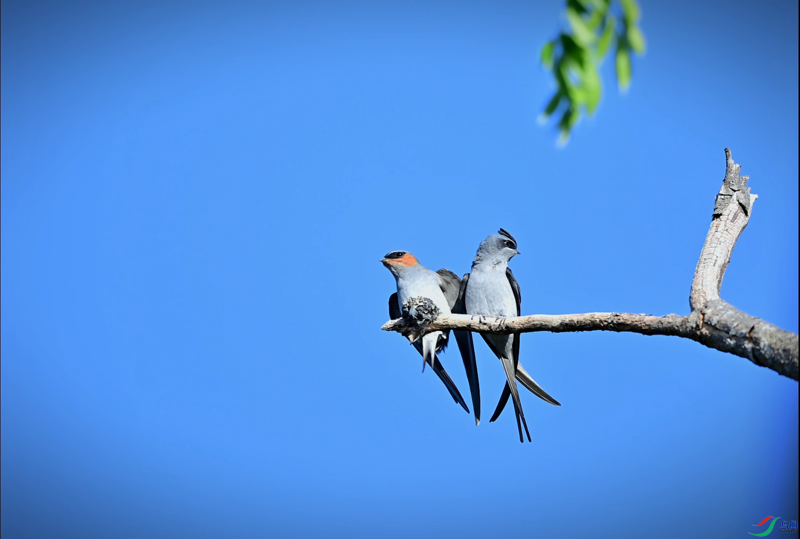 7��29�� ����.png