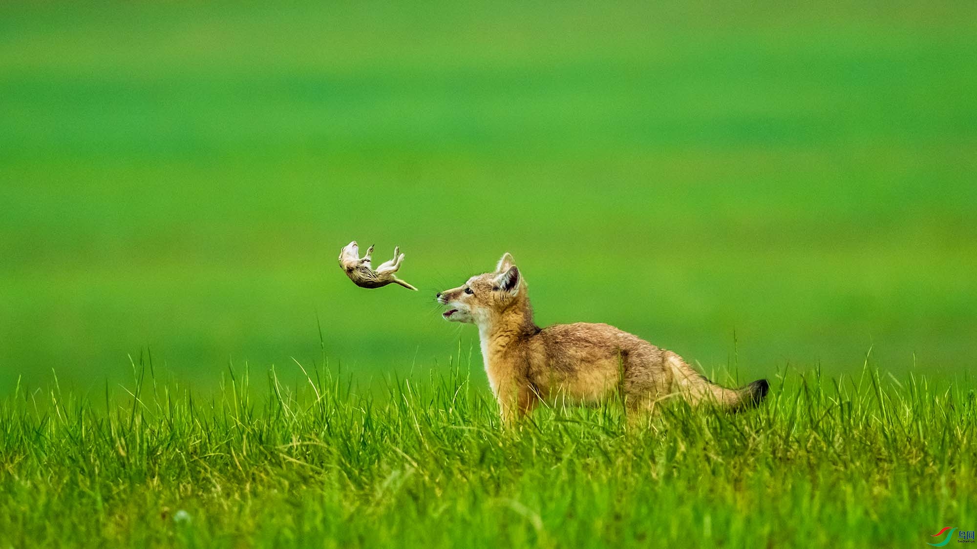 ɳ��