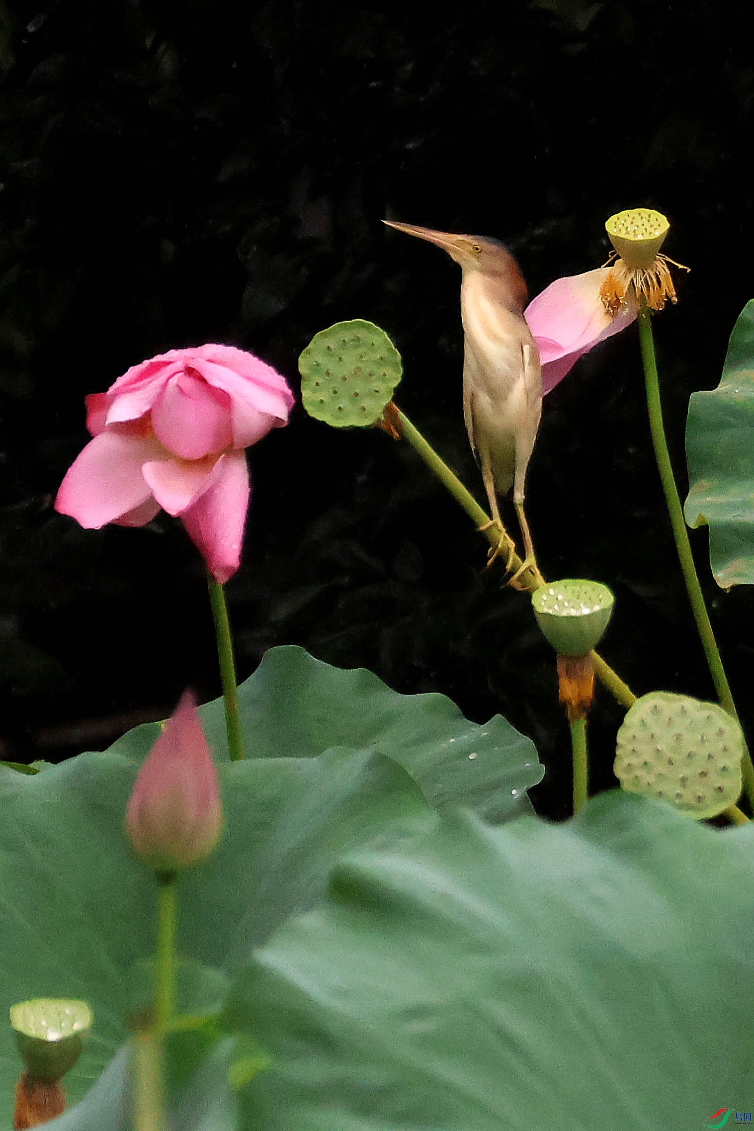 2G9A8406.JPG