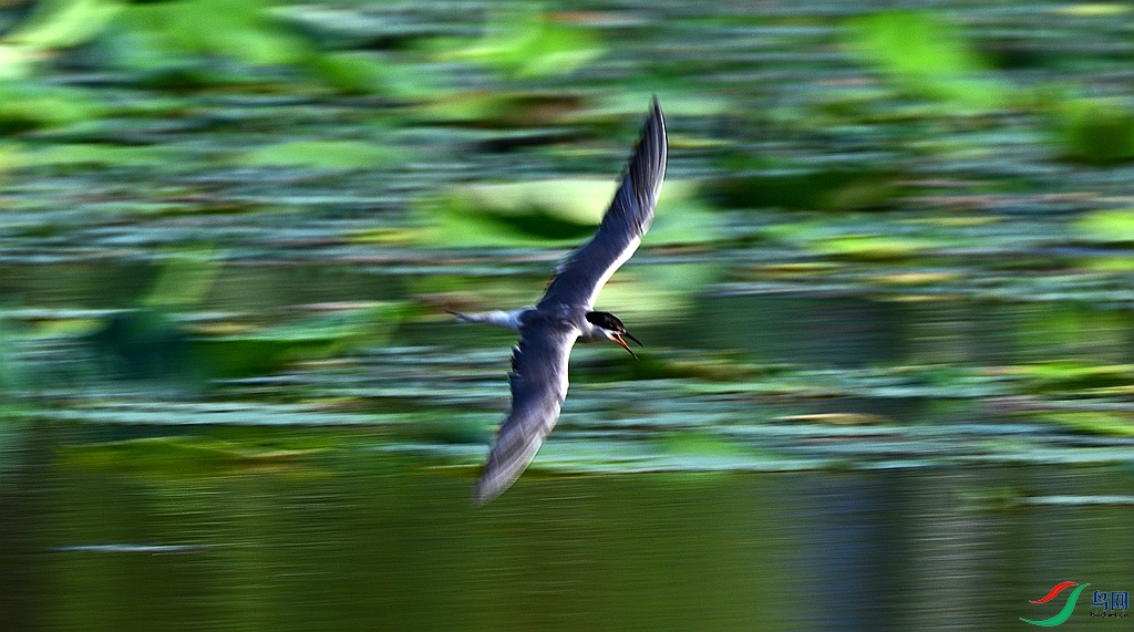DSC_2624.JPG