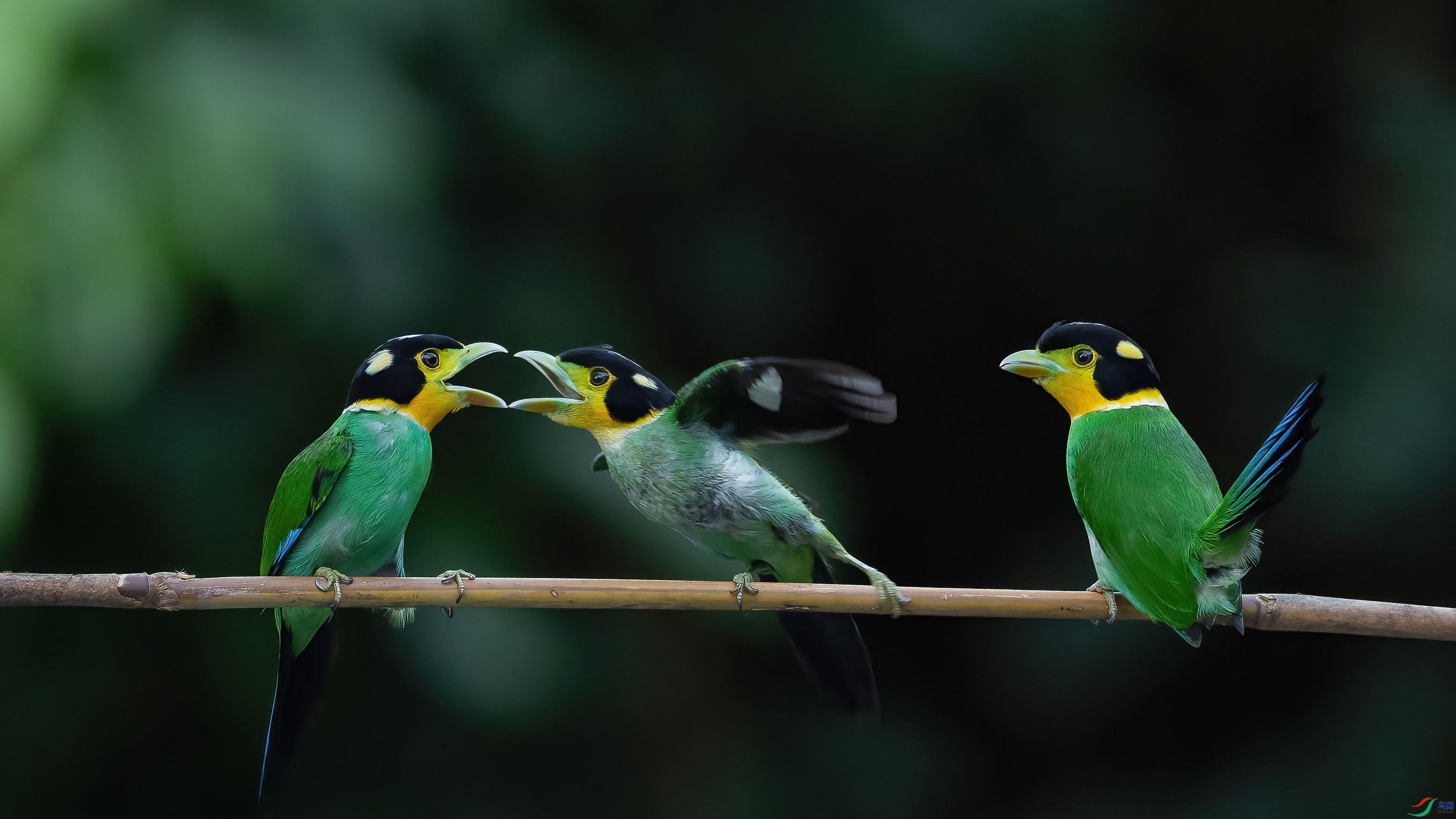 048A6494 ����.jpg