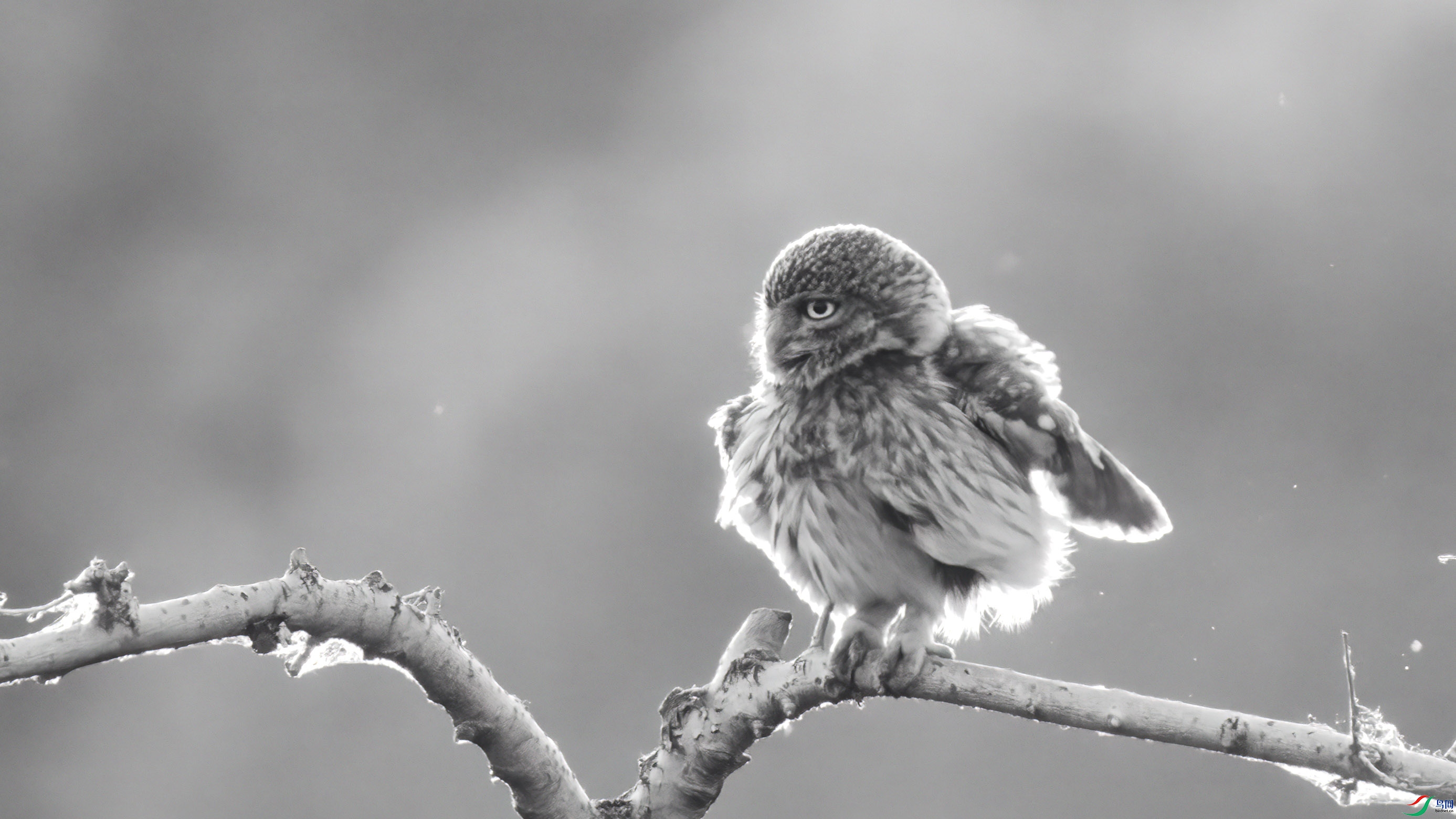 DSC03491 ����.jpg