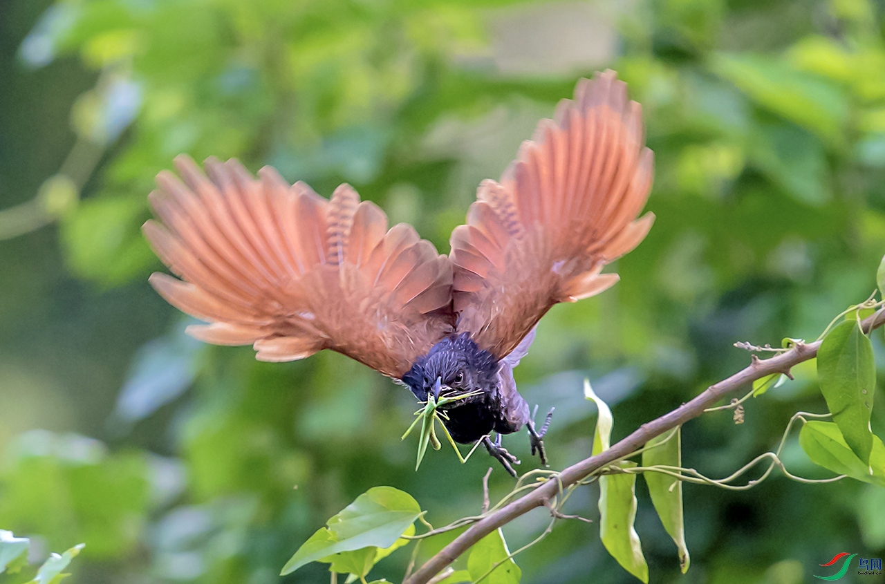 DSC_7851.jpg