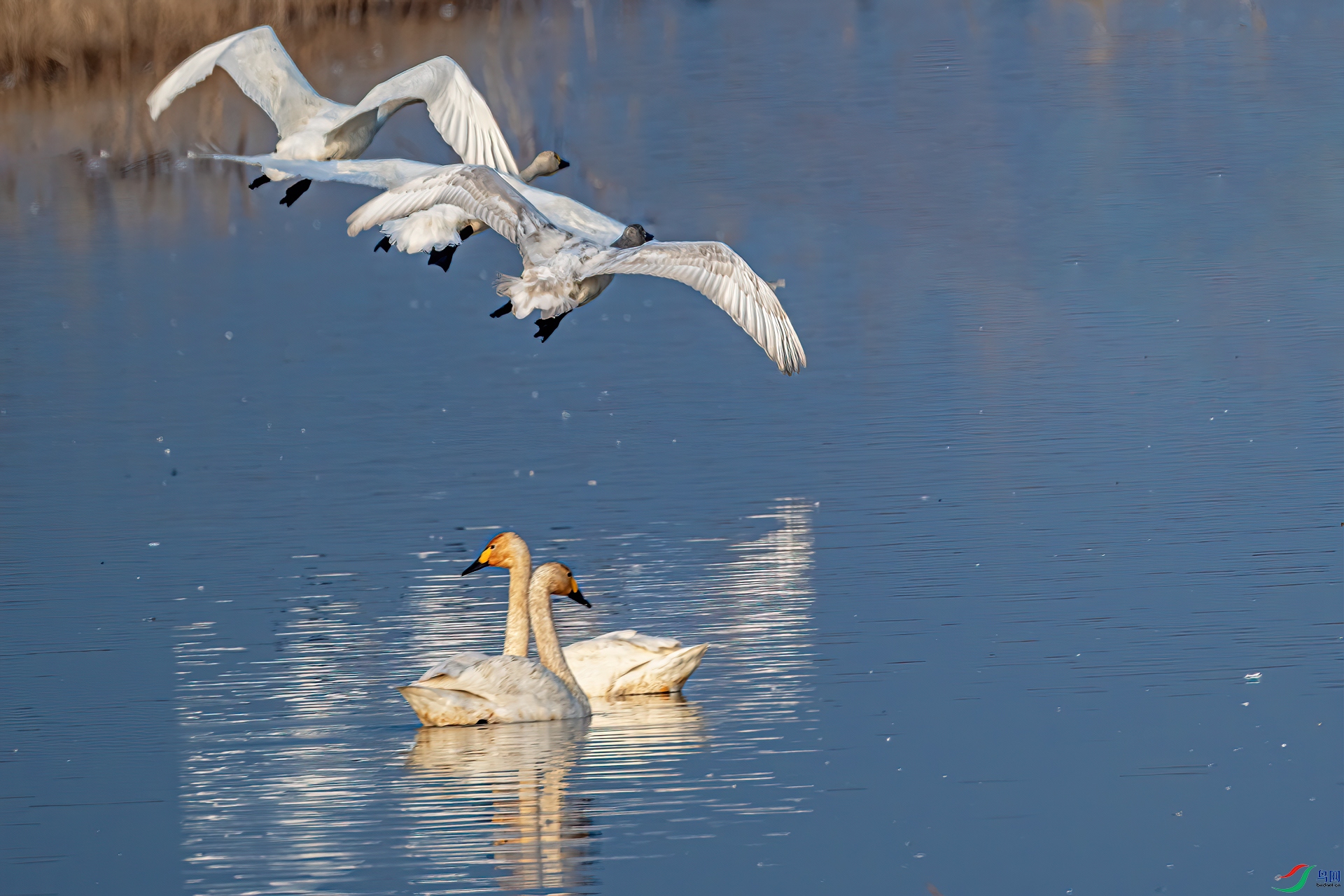 DSC_0615-11.jpg