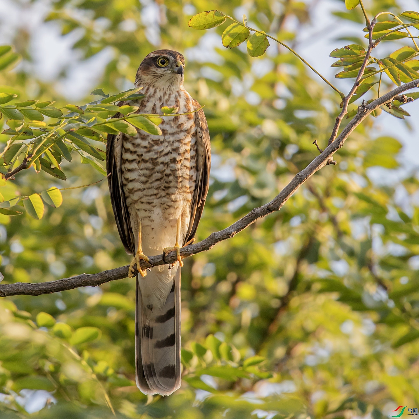 _90I6442 ����.jpg