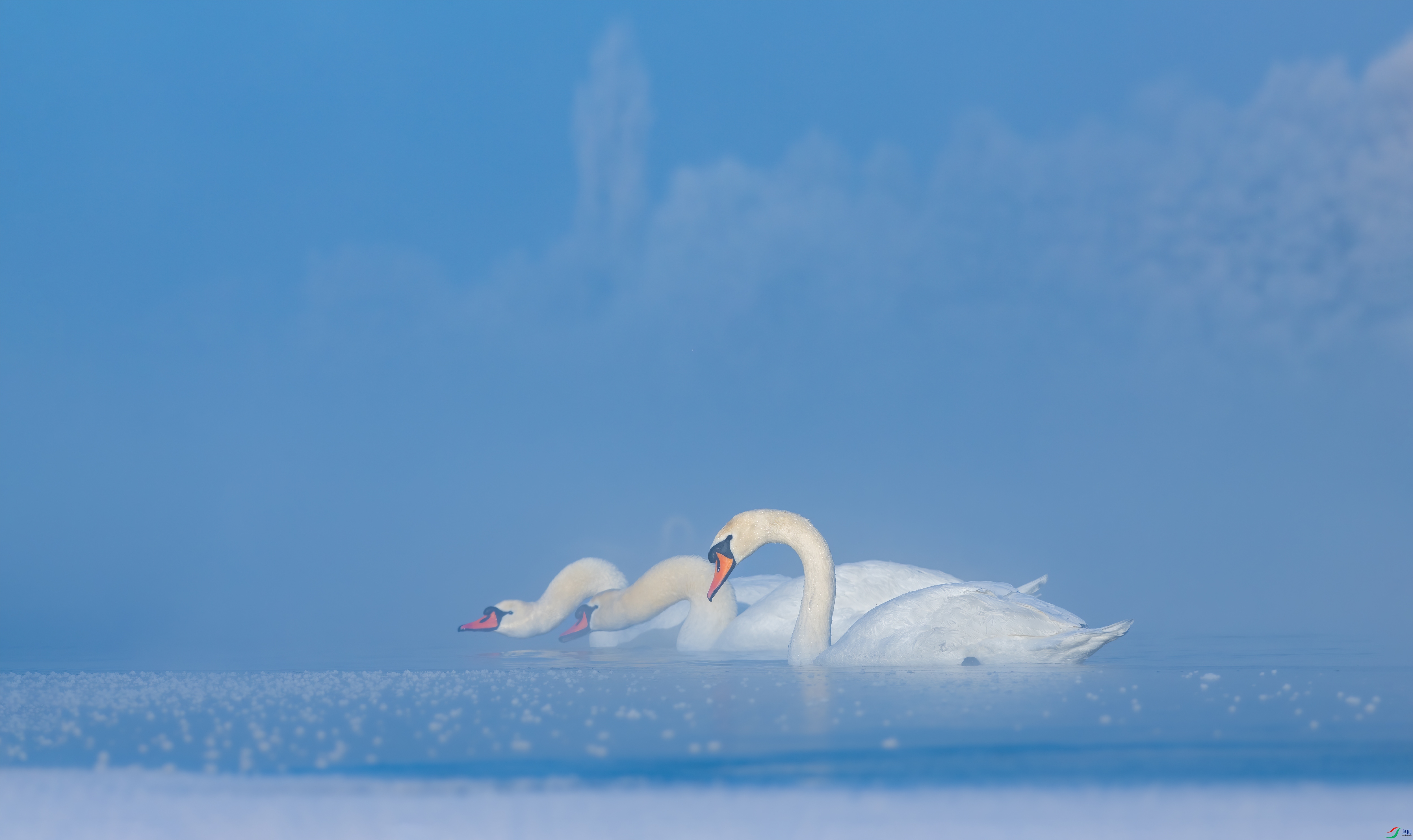 DSC_9988-2.jpg