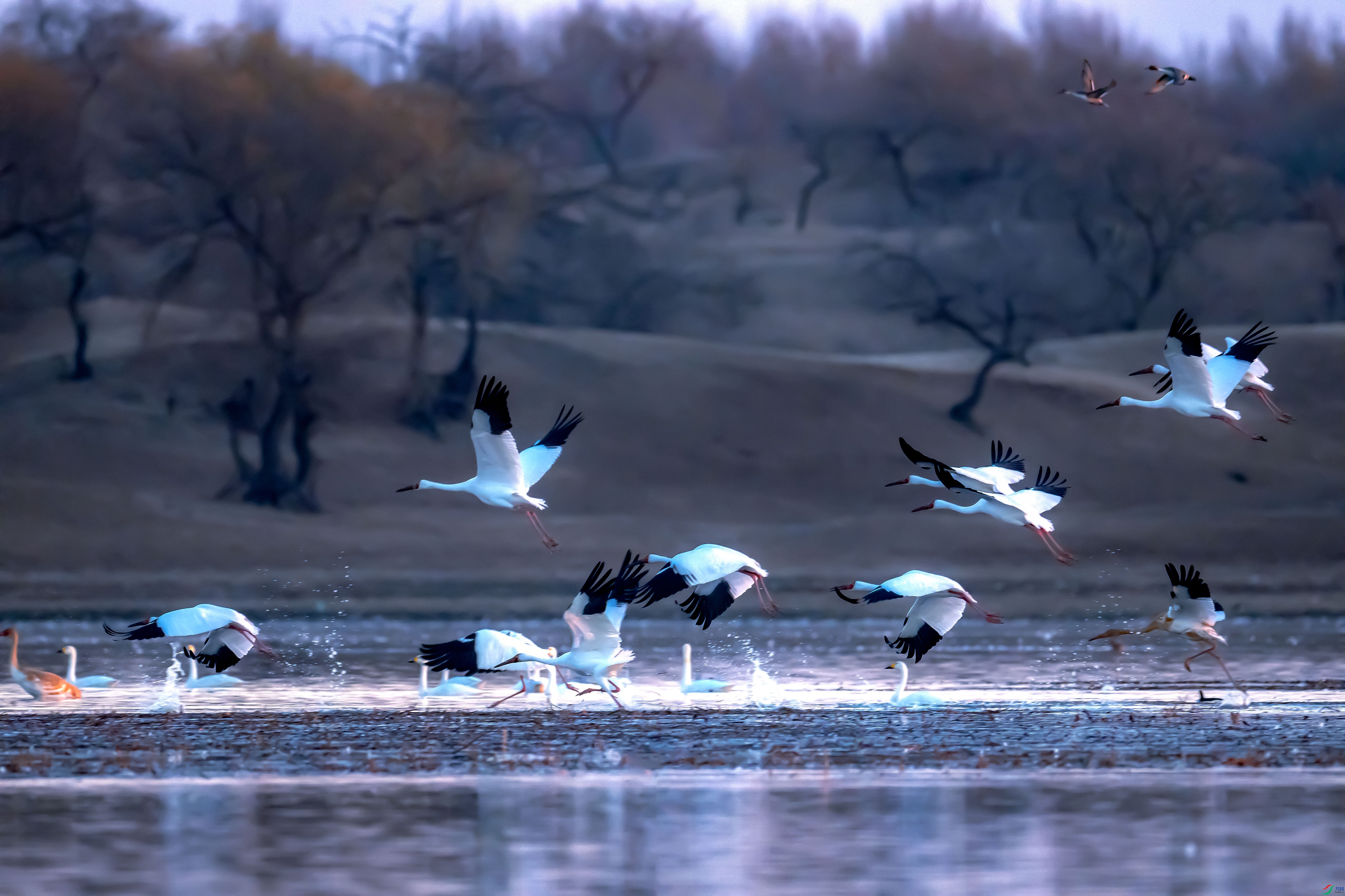 DSC_2657.jpg