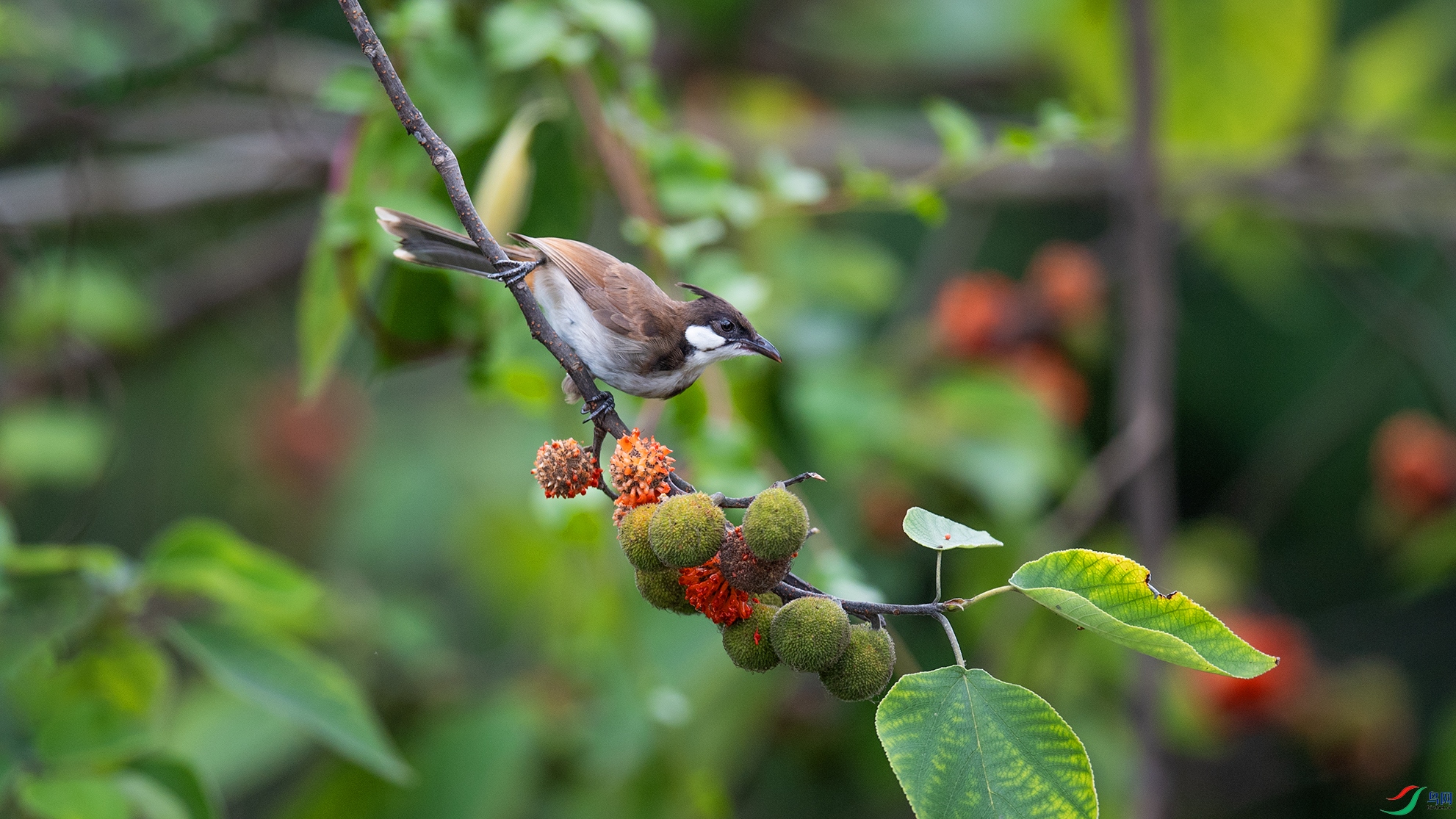 _DSC7548 ����.jpg