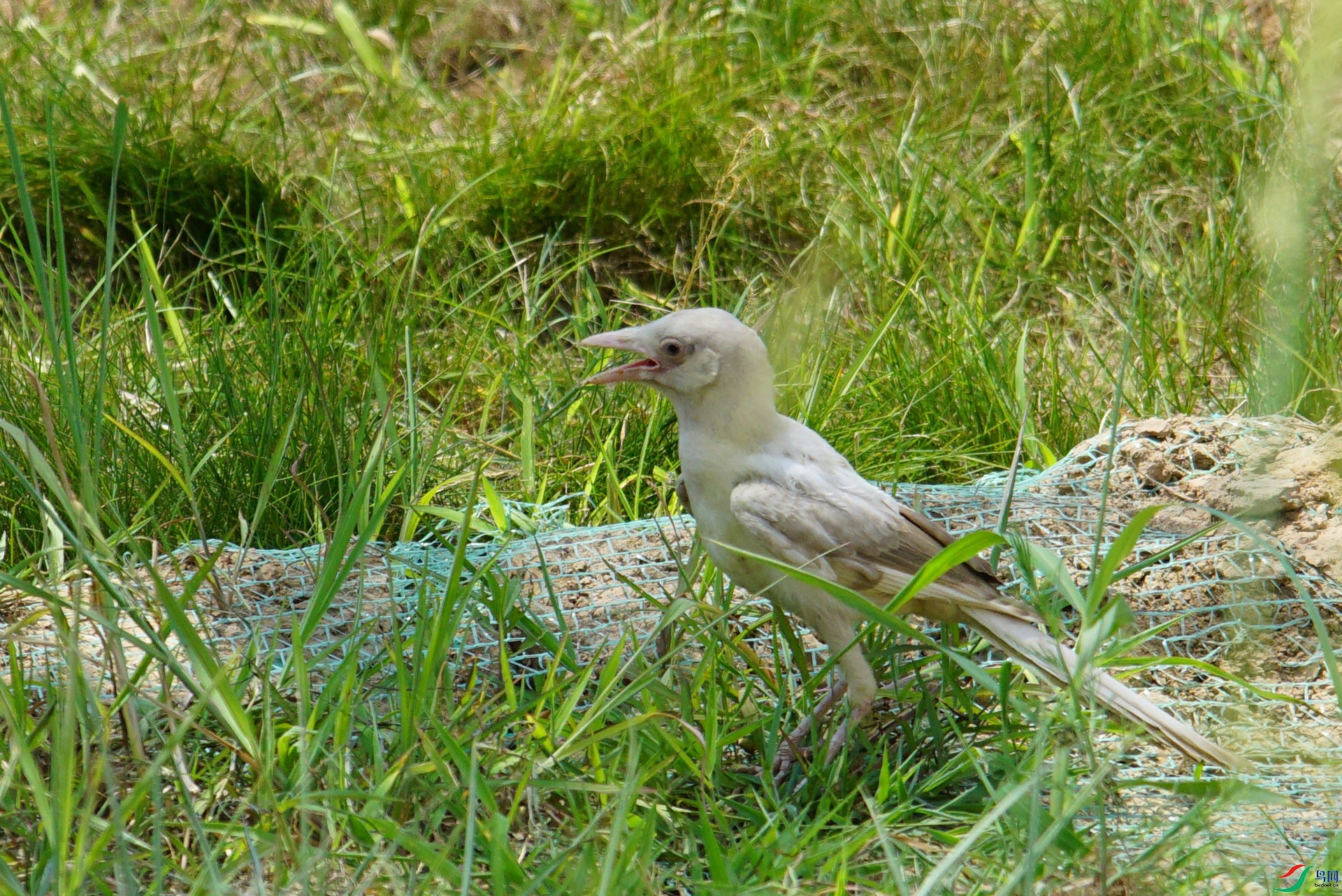DSC03534.JPG