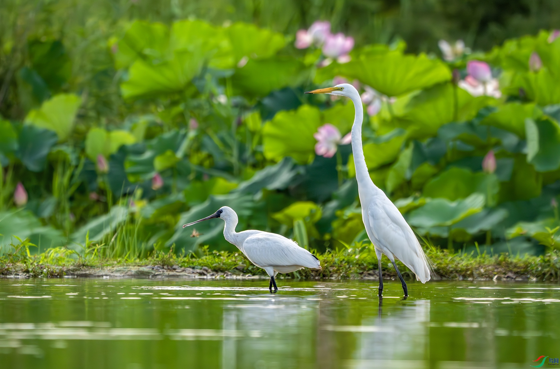 DSC06024-����ǿ-NR ����.jpg